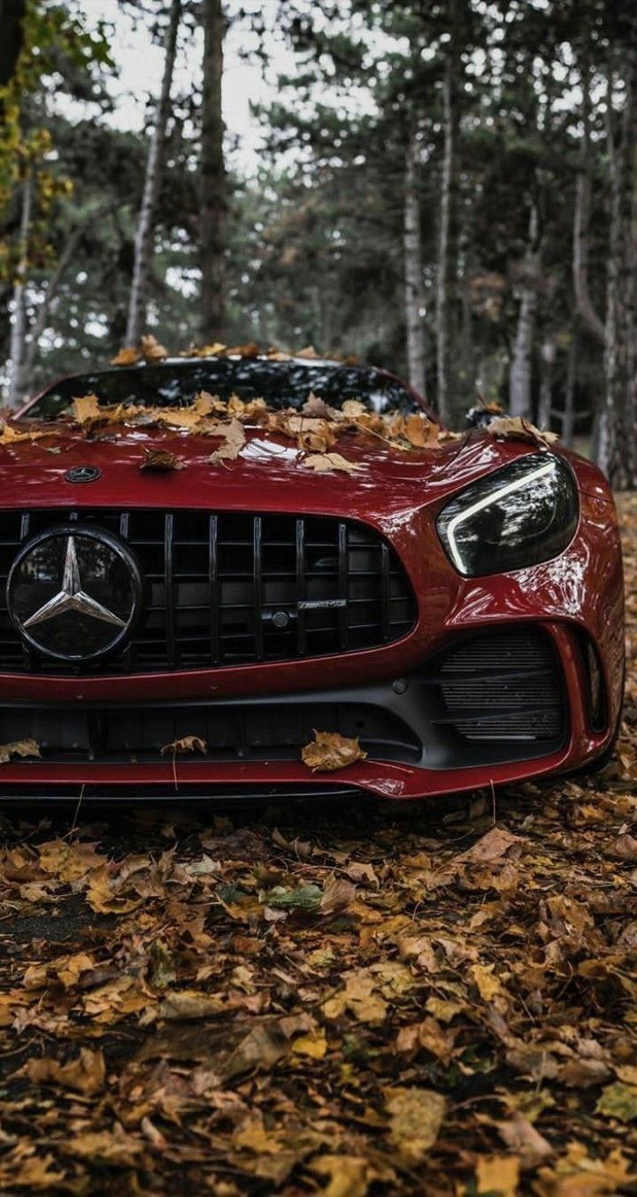 Autumn Mercedes Benz - random wallpaper for OpersCraft