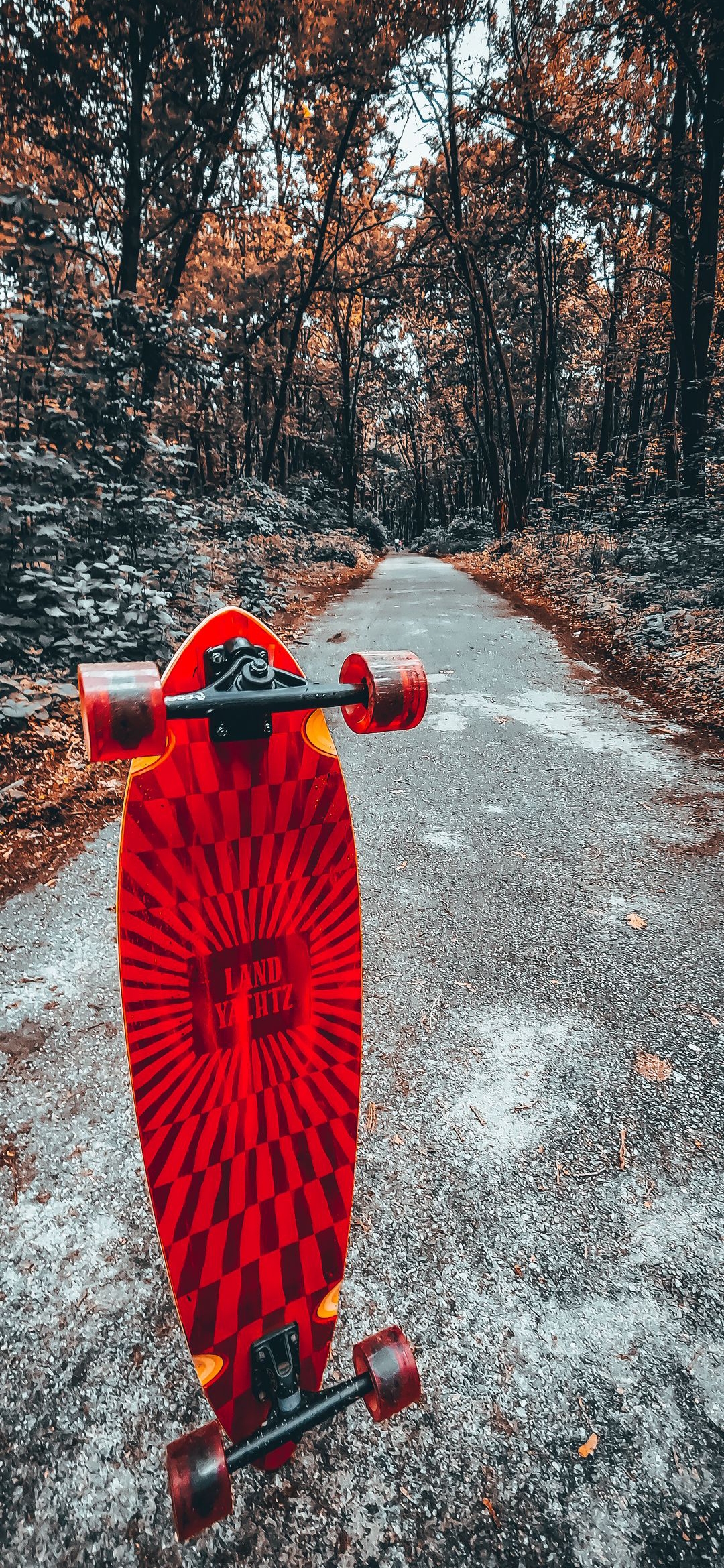 Autumn Skateboarding Adventure - skateboard wallpaper for OpersCraft