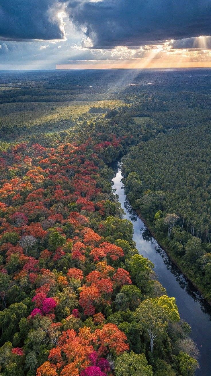 Autumnal River Forest Aerial - nature wallpaper for OpersCraft
