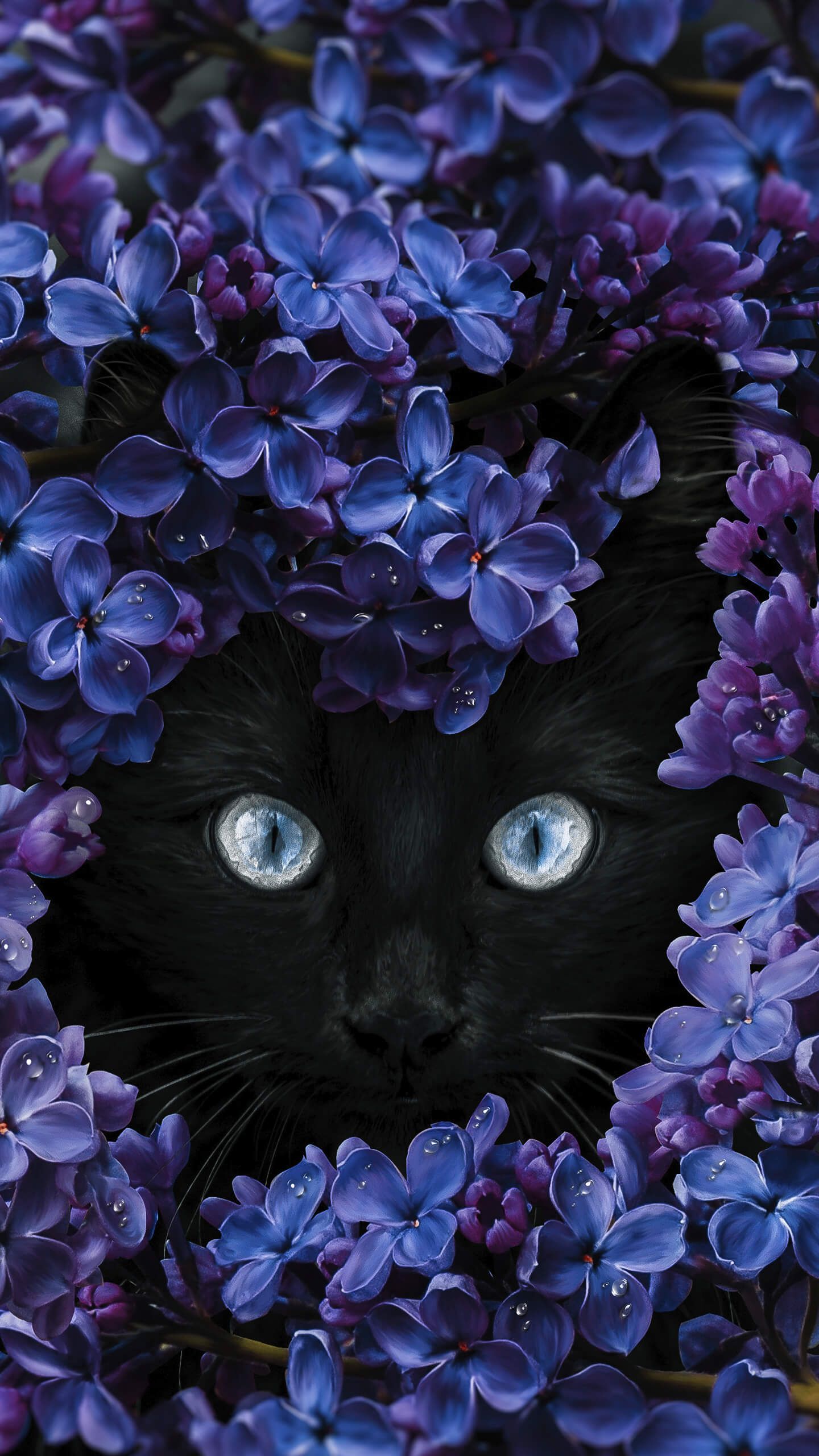 Black Cat Lilac Bloom - cat wallpaper for OpersCraft