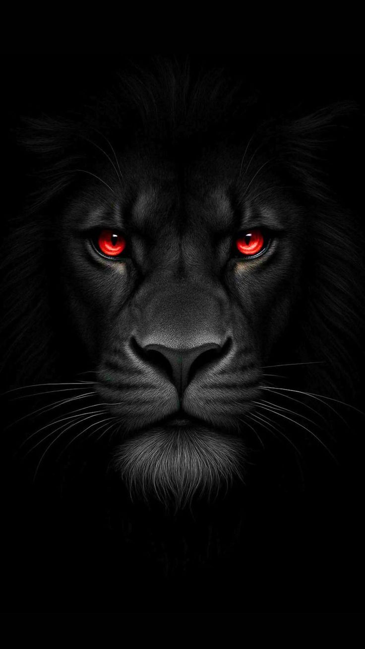 Black Lion Red Eyes - animal wallpaper for OpersCraft