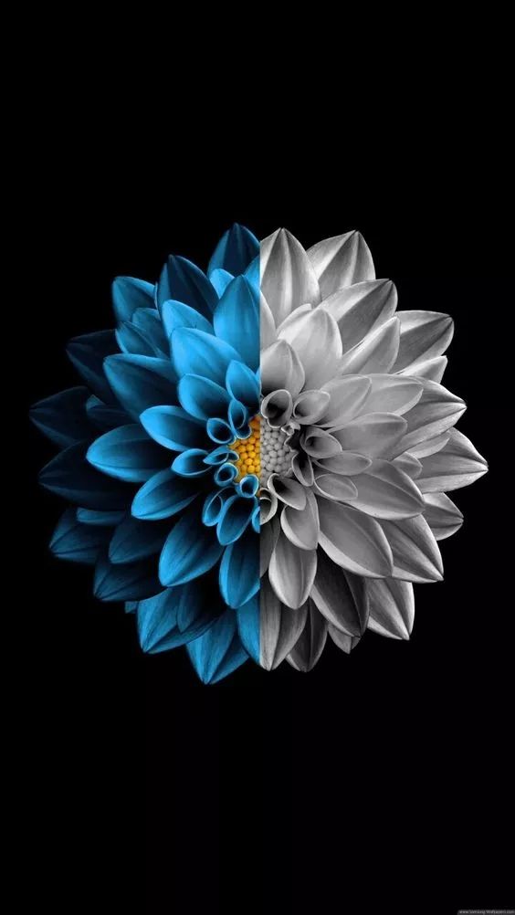 Blue and Gray Flower - floral wallpaper for OpersCraft