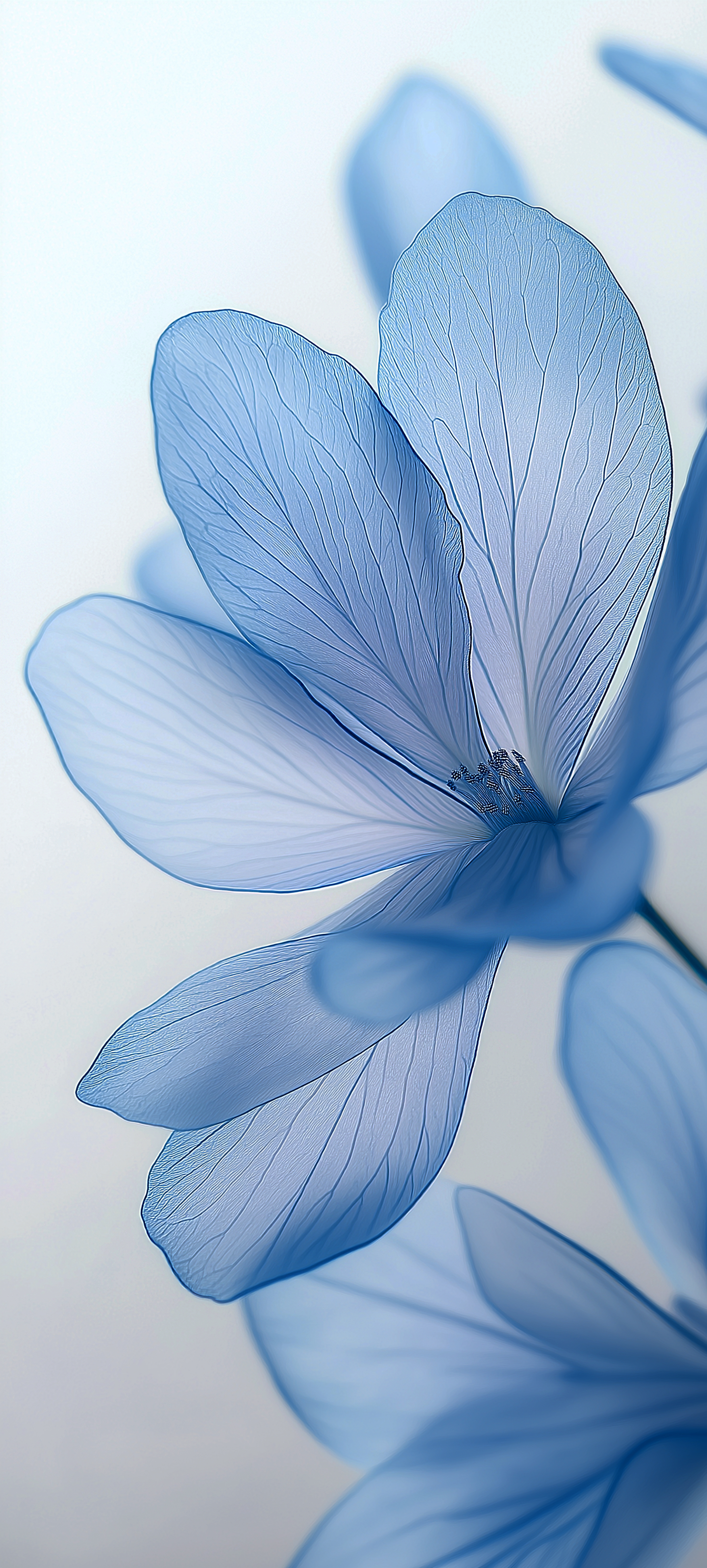 Blue Flower Mobile Wallpaper - flowers wallpaper for OpersCraft