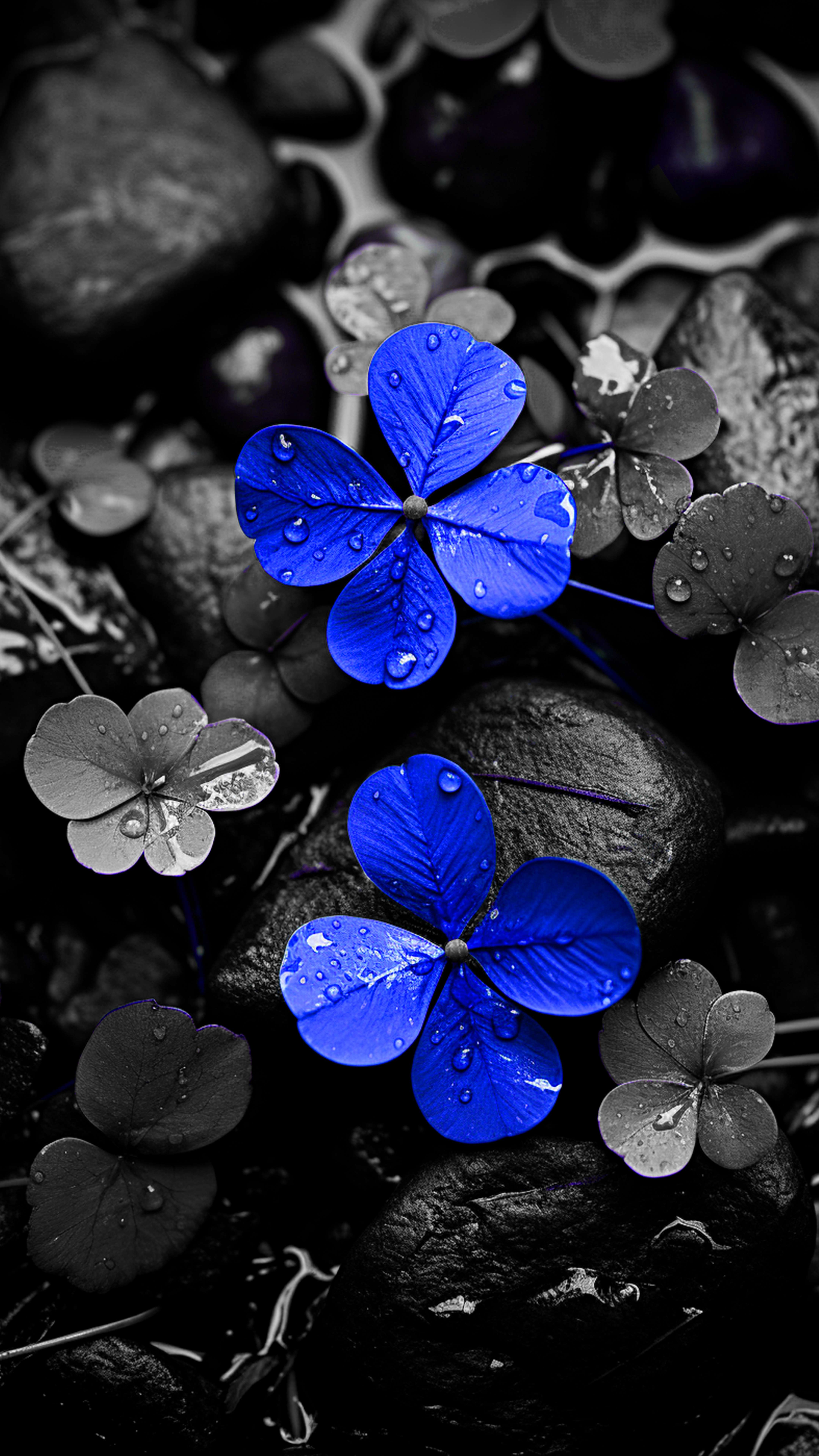 Blue Flower Wallpaper Download - flowers wallpaper for OpersCraft