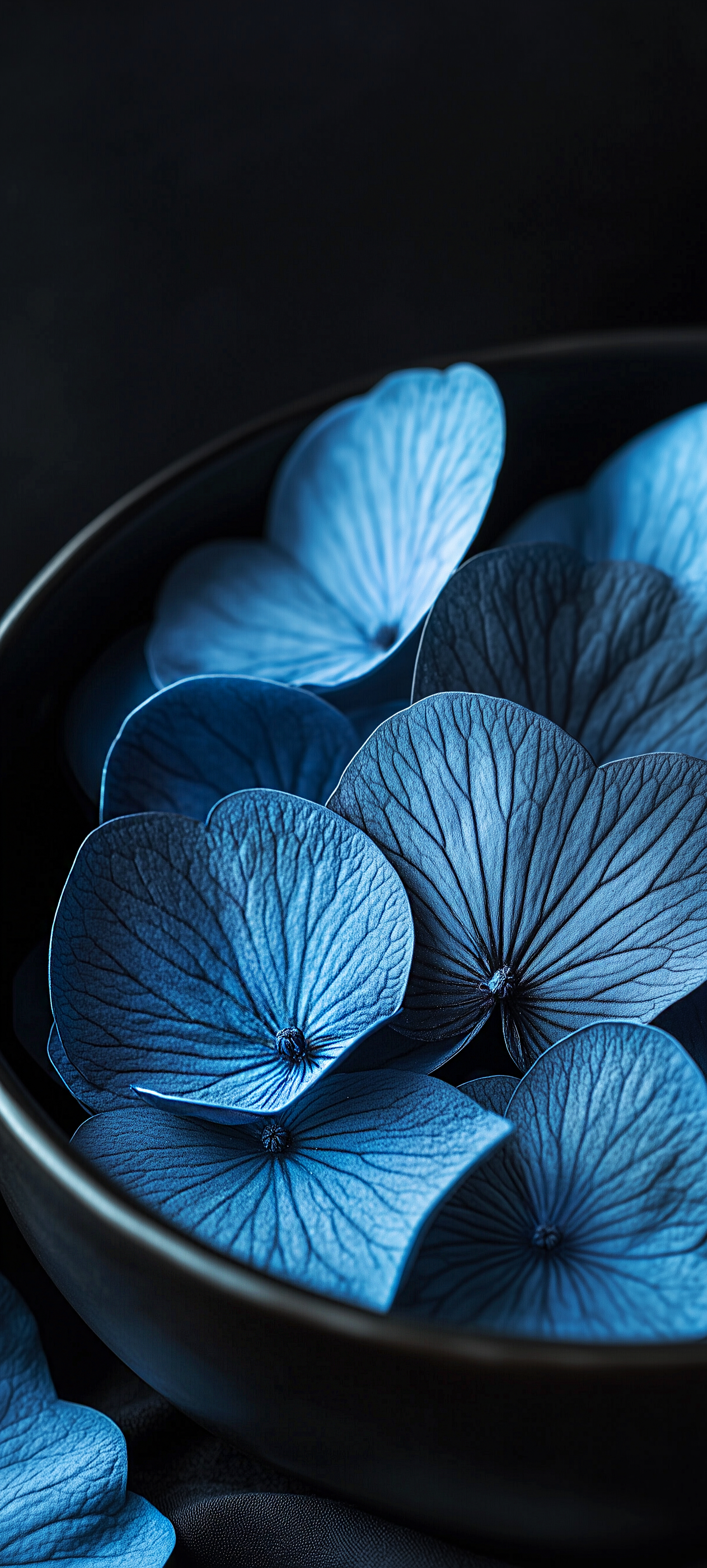 Blue Hydrangea Bowl Still - random wallpaper for OpersCraft