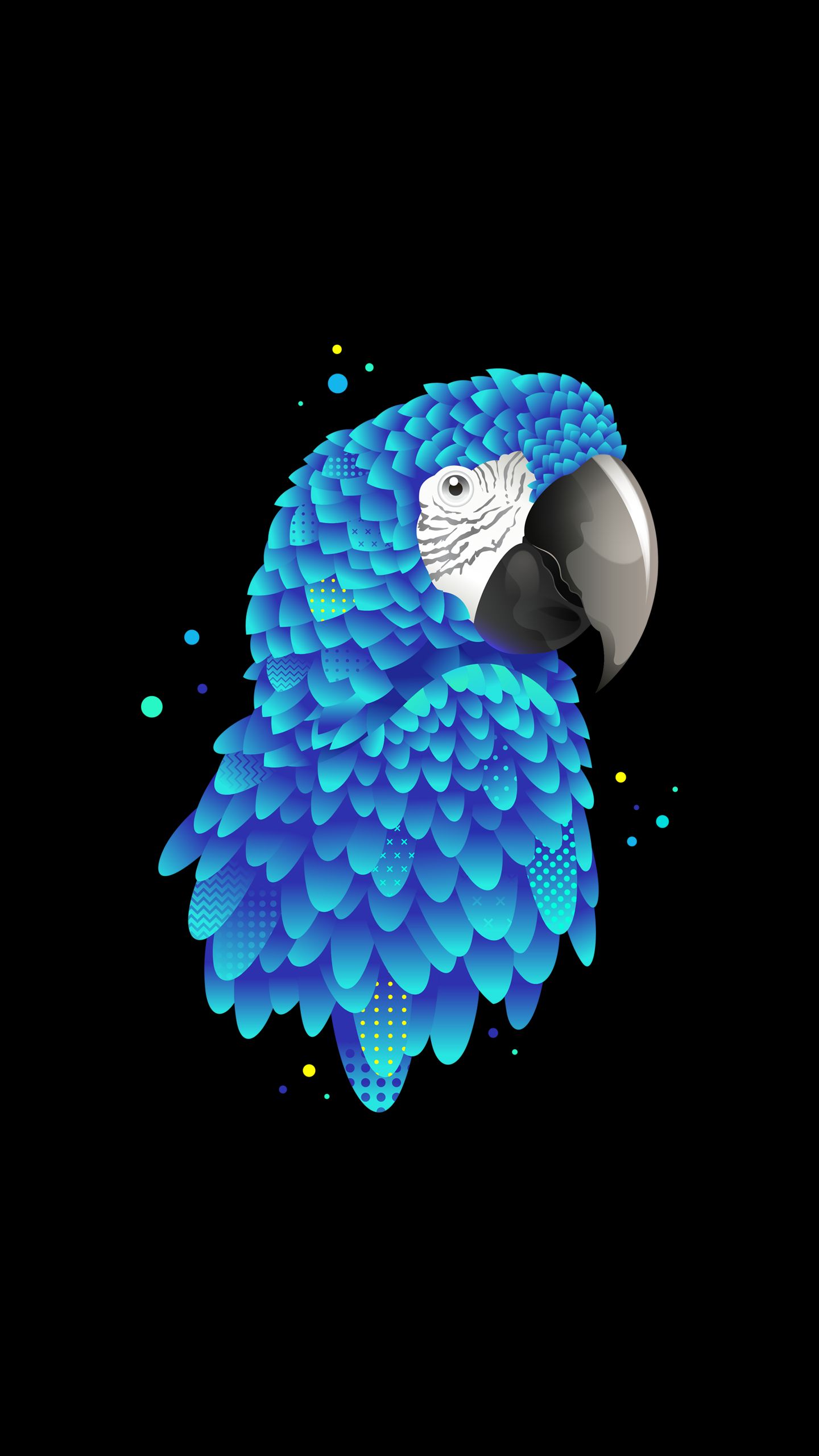 Blue Macaw Illustration - random wallpaper for OpersCraft