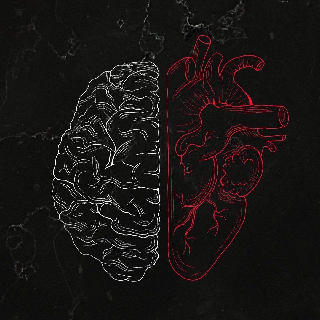Brain and Heart Anatomy - random wallpaper for OpersCraft