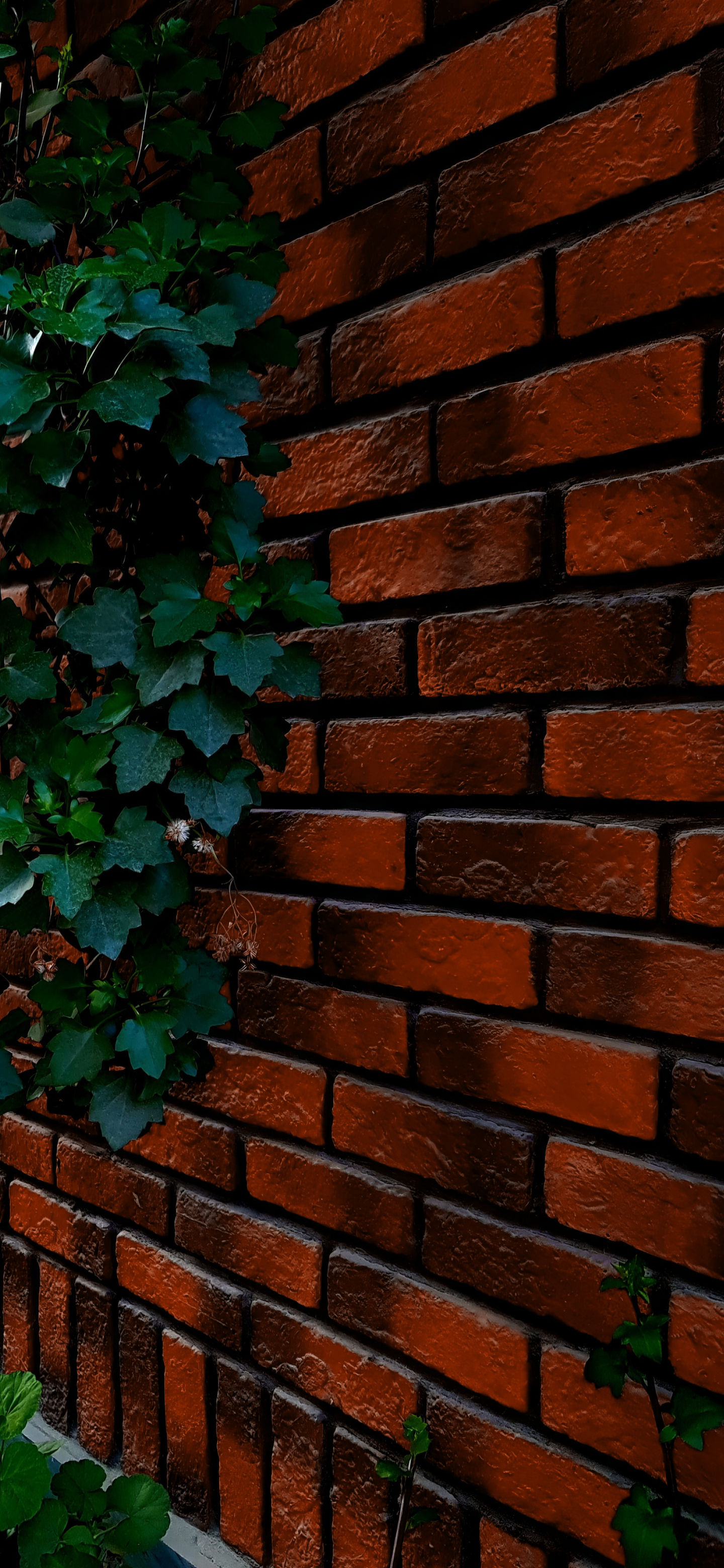 Brick Wall and Ivy - abstract wallpaper for OpersCraft