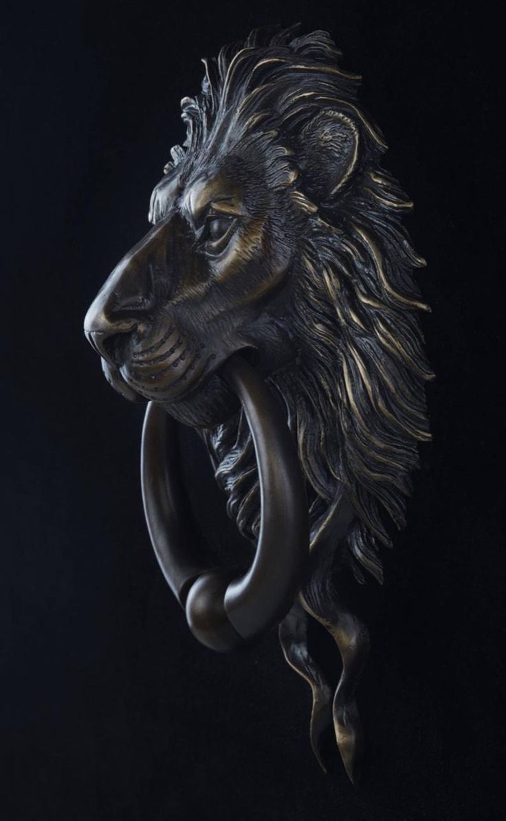 Bronze Lion Door Knocker - lion wallpaper for OpersCraft