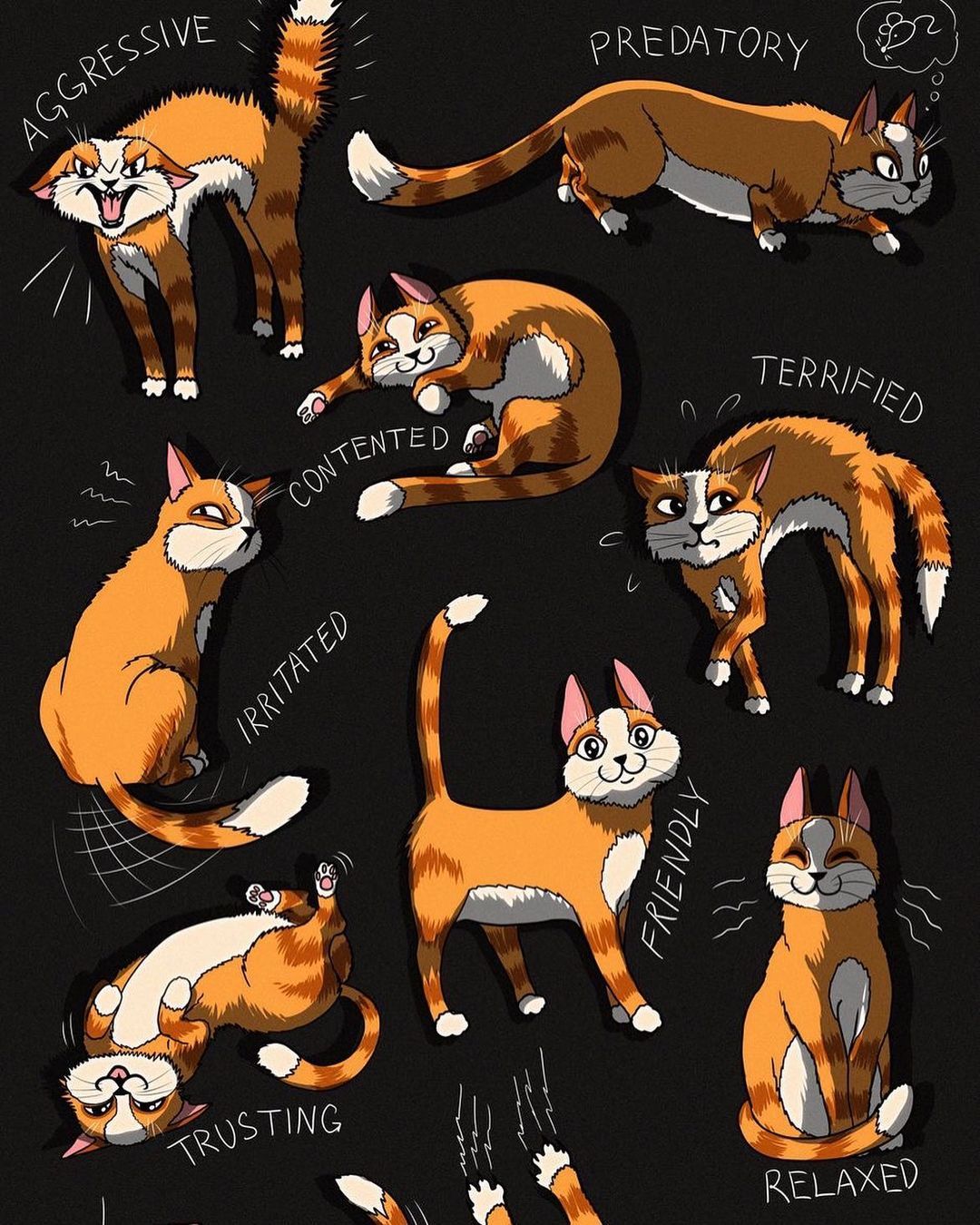 Cat Mood Chart - cat wallpaper for OpersCraft