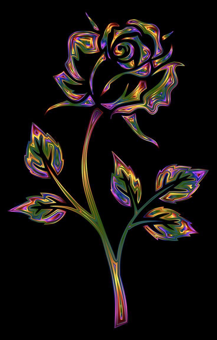Chromatic Rose Illustration - floral wallpaper for OpersCraft