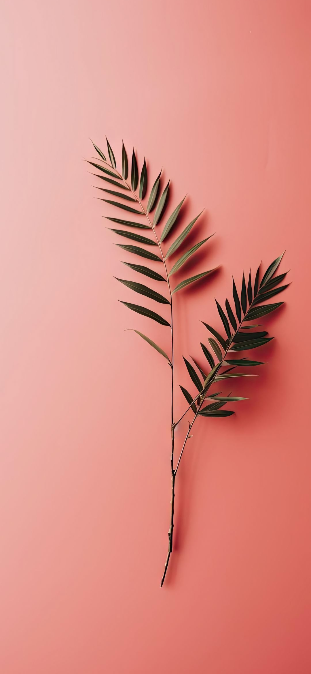 Coral Palm Leaf - botanical wallpaper for OpersCraft