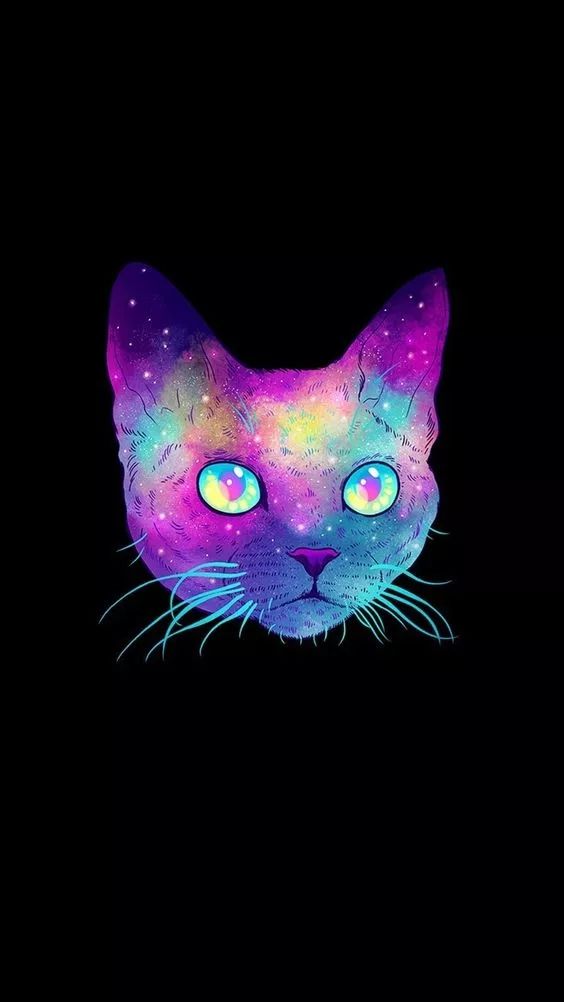 Cosmic Cat Portrait - cat wallpaper for OpersCraft