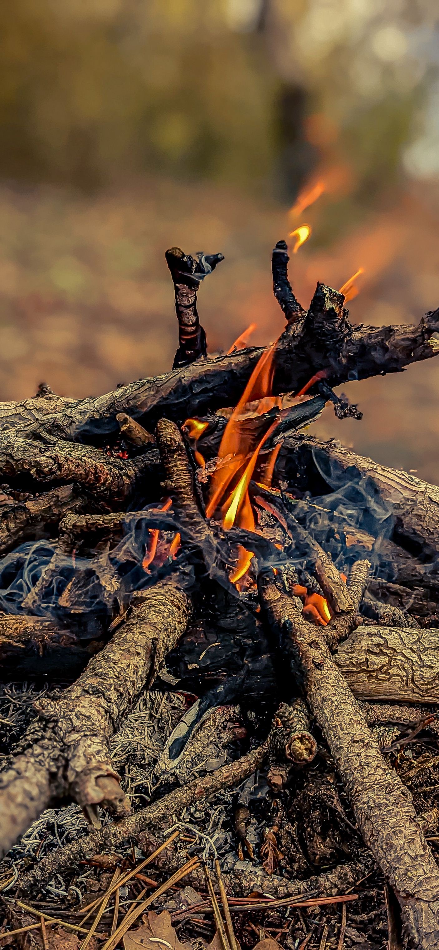 Crackling Campfire Flames - random wallpaper for OpersCraft