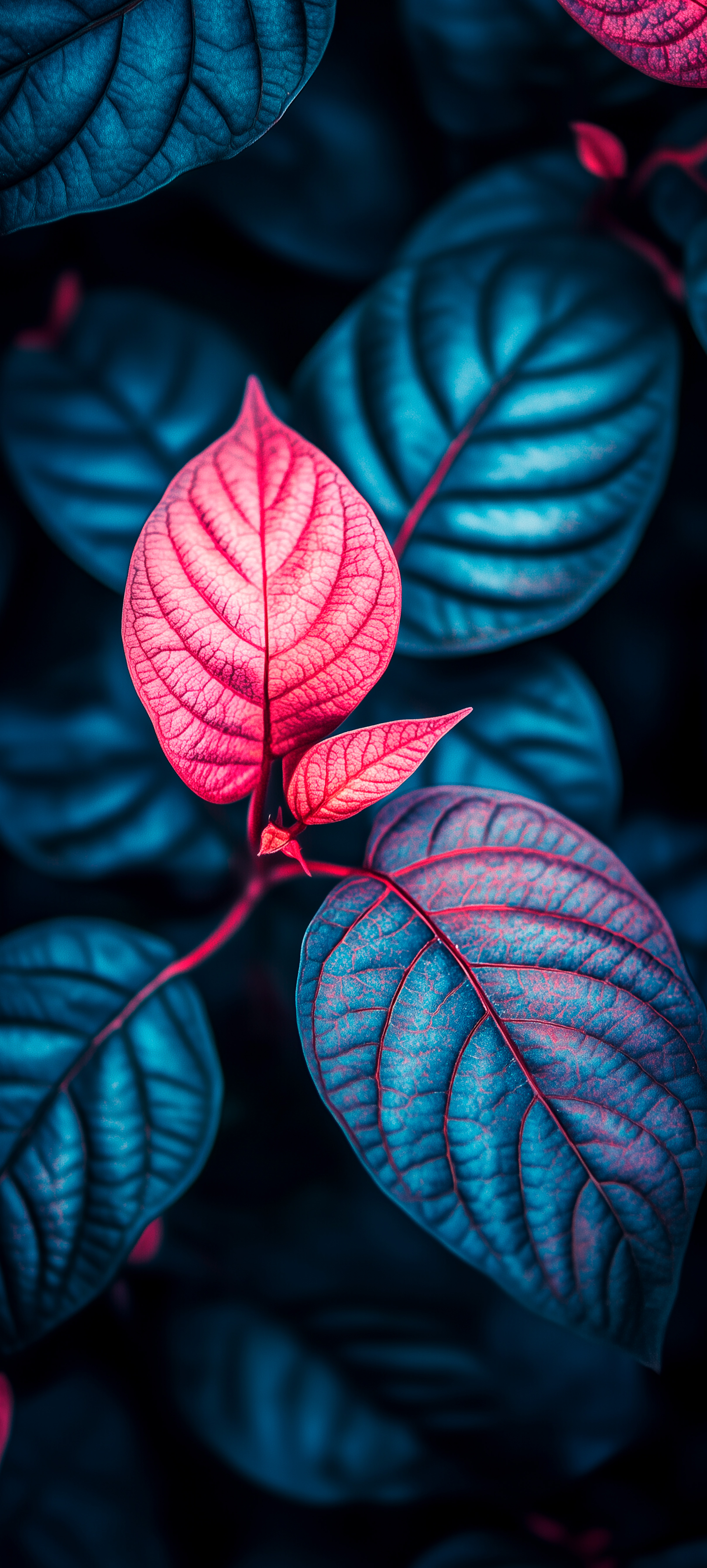 Crimson and Teal Leaves - botanical wallpaper for OpersCraft