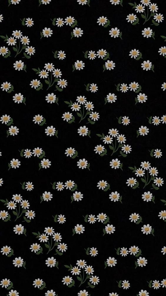 Daisy Delight on Black - floral wallpaper for OpersCraft