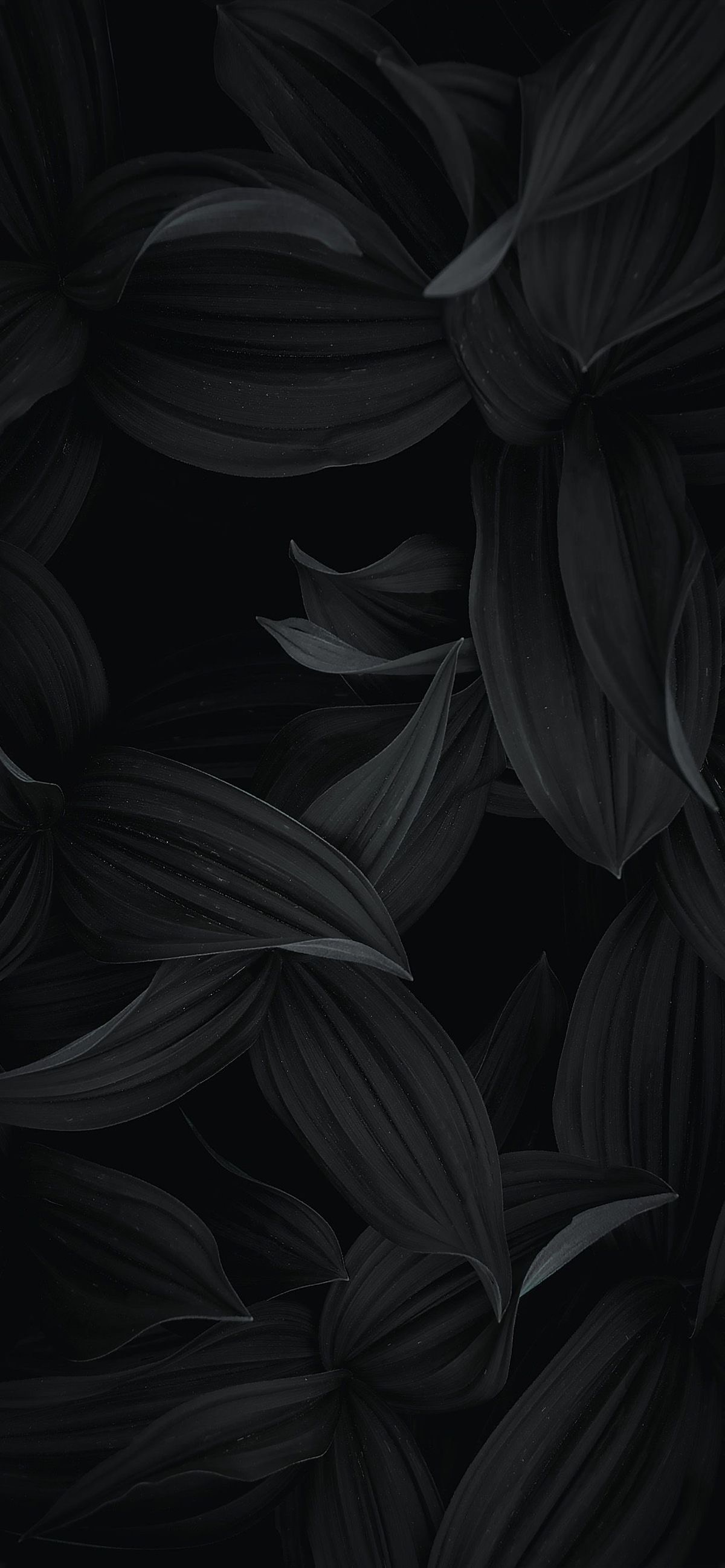 Dark Botanical Leaves - random wallpaper for OpersCraft
