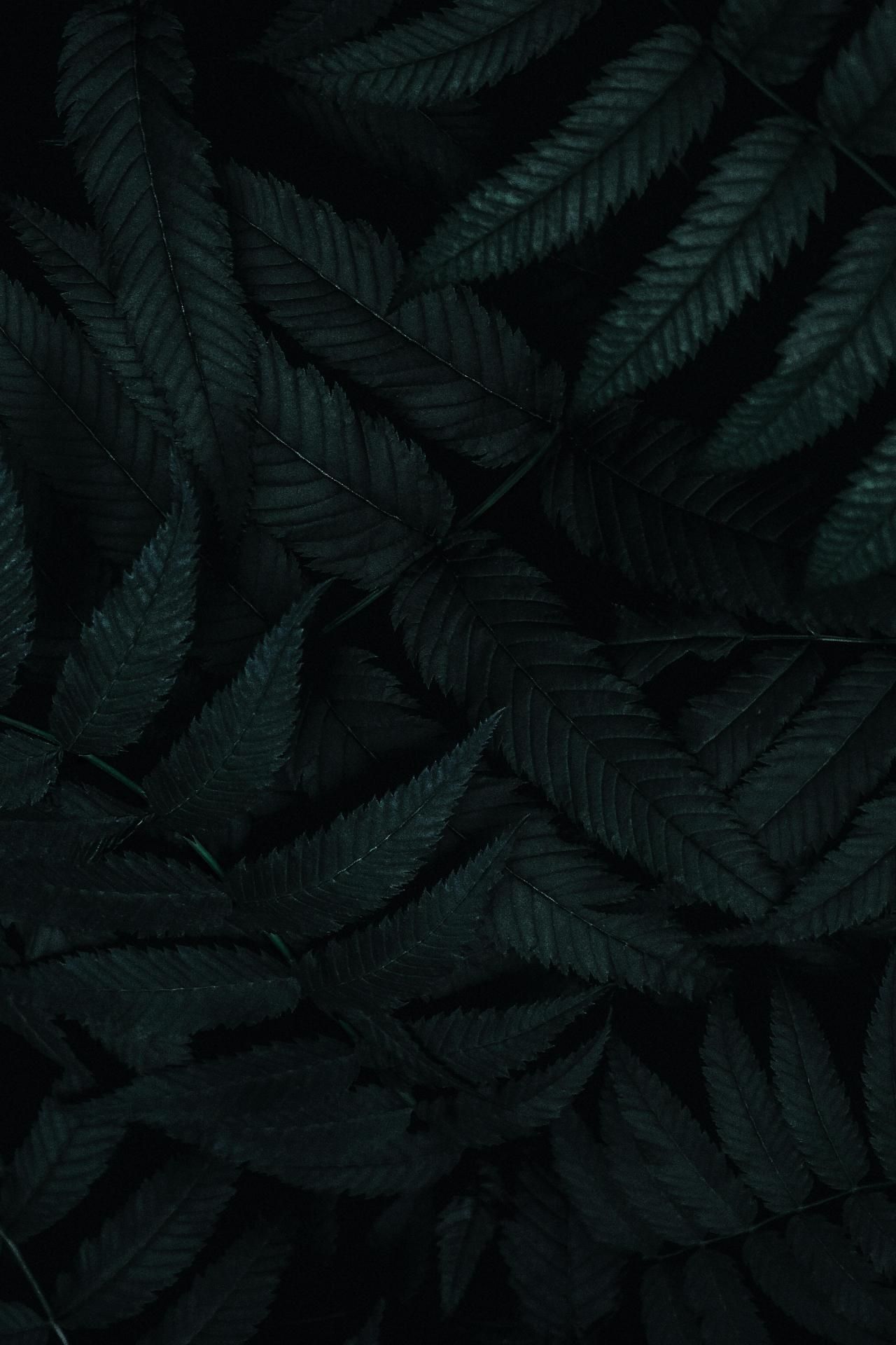 Dark Fern Leaf Pattern - forest wallpaper for OpersCraft