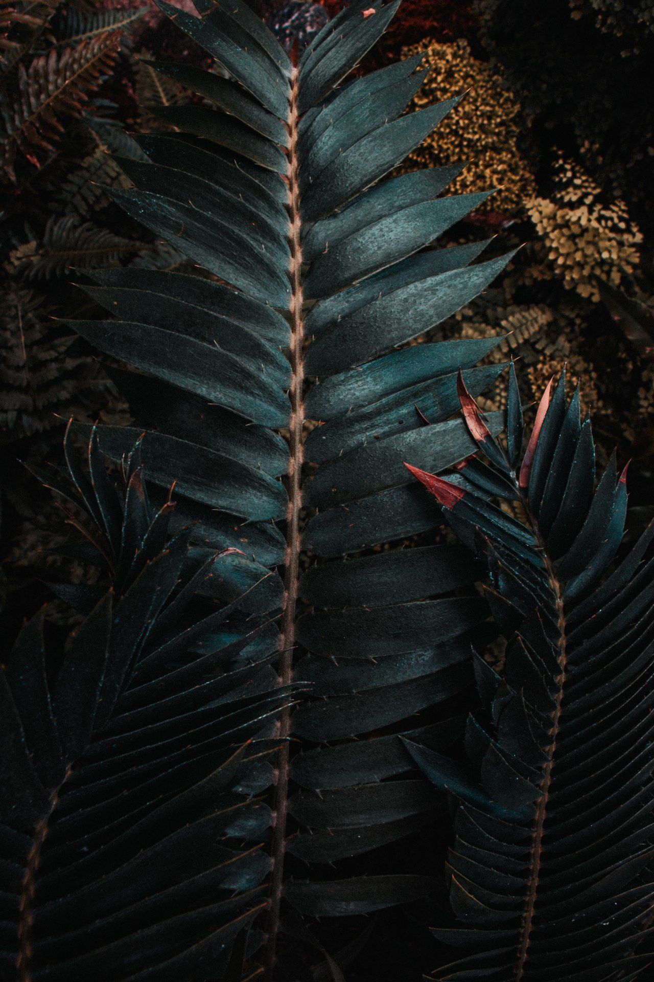 Dark Tropical Ferns - plant wallpaper for OpersCraft