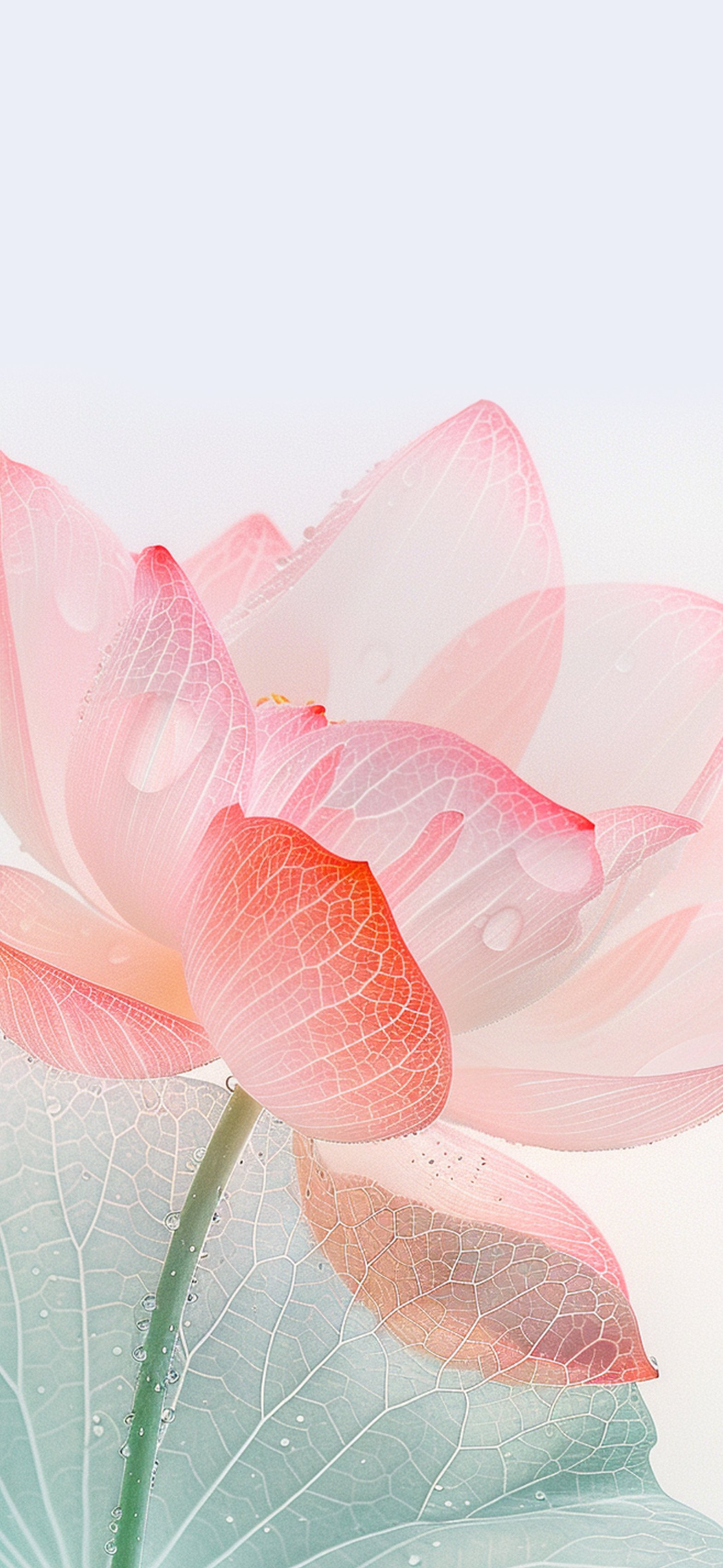 Delicate Lotus Blossom - random wallpaper for OpersCraft