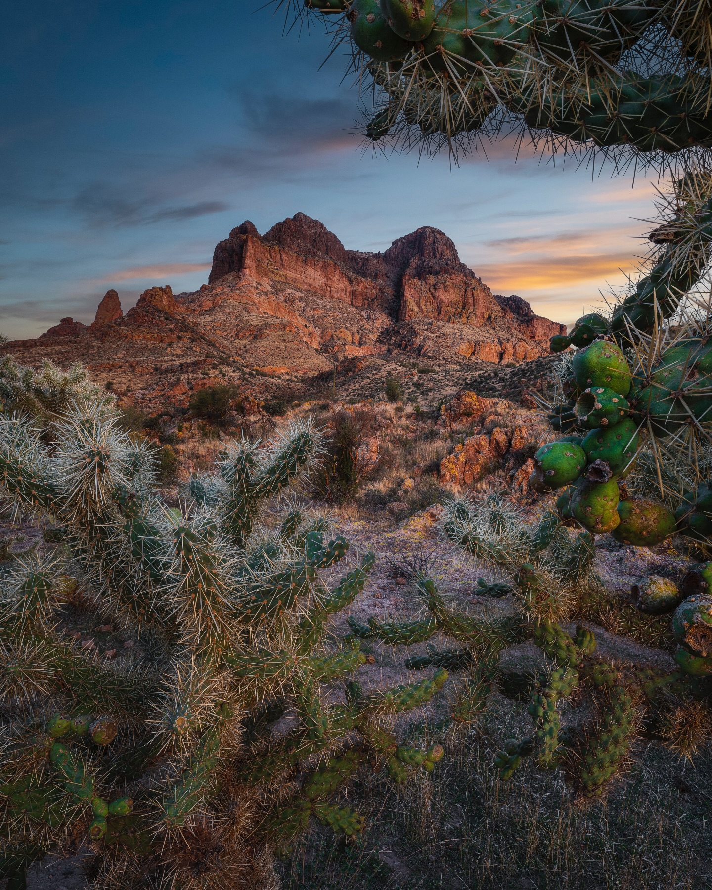 Desert Mountain Cactus Sunset - landscape wallpaper for OpersCraft
