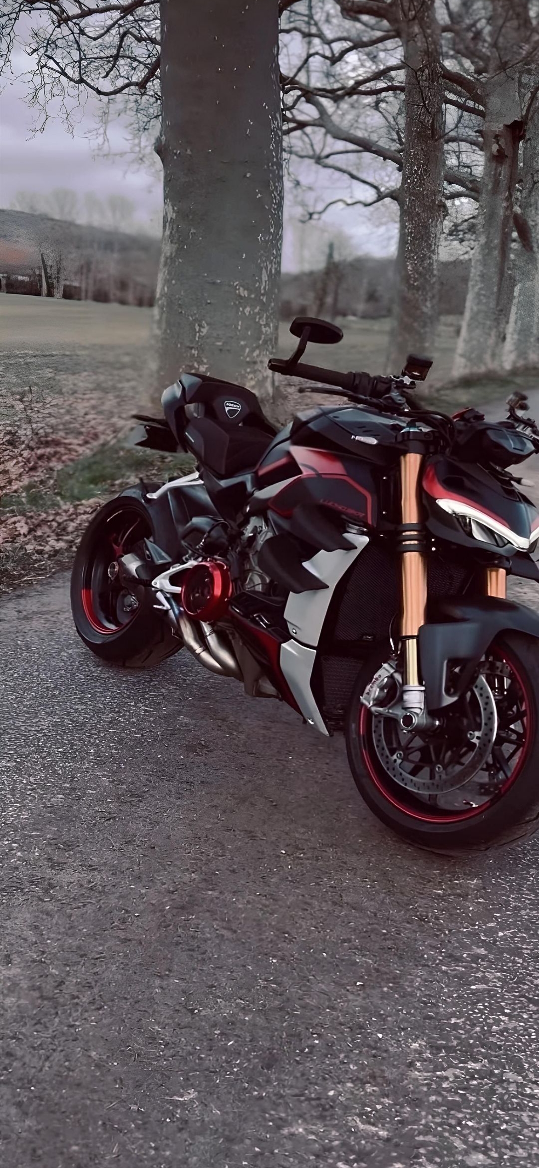 Ducati Streetfighter V4 - motorcycle wallpaper for OpersCraft