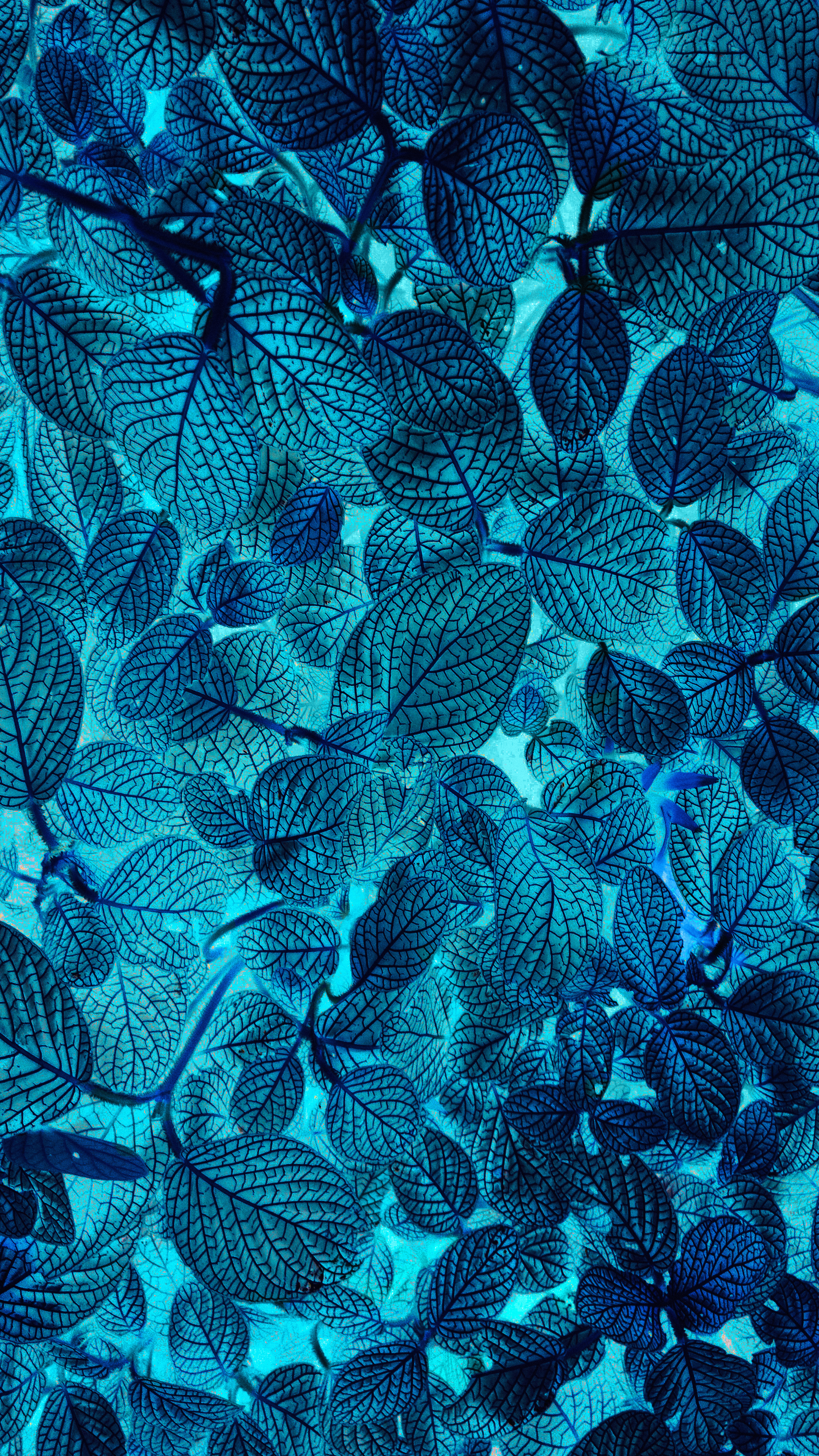 Electric Blue Leaf Pattern - abstract wallpaper for OpersCraft