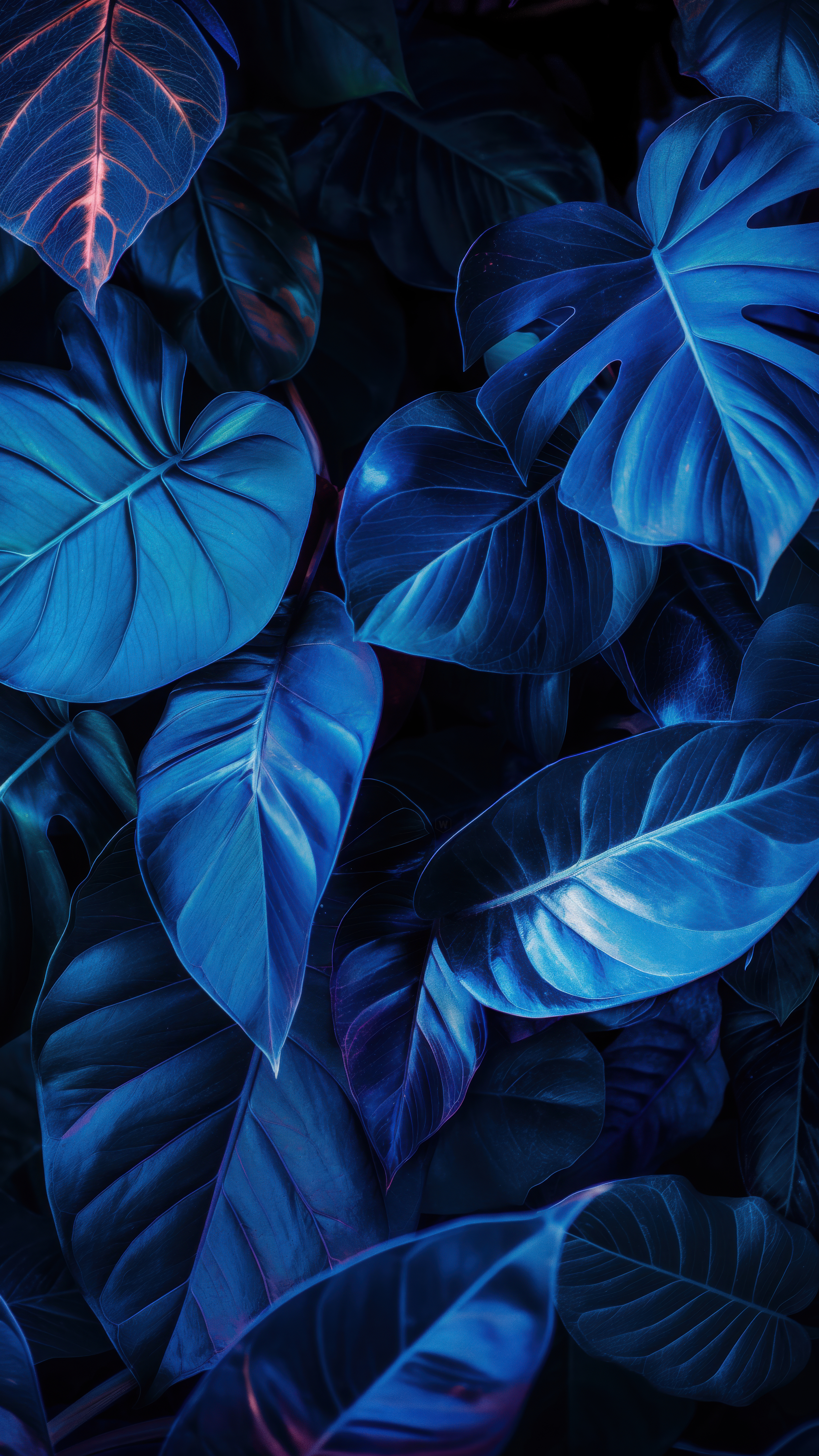Electric Blue Tropical Leaves - abstract wallpaper for OpersCraft