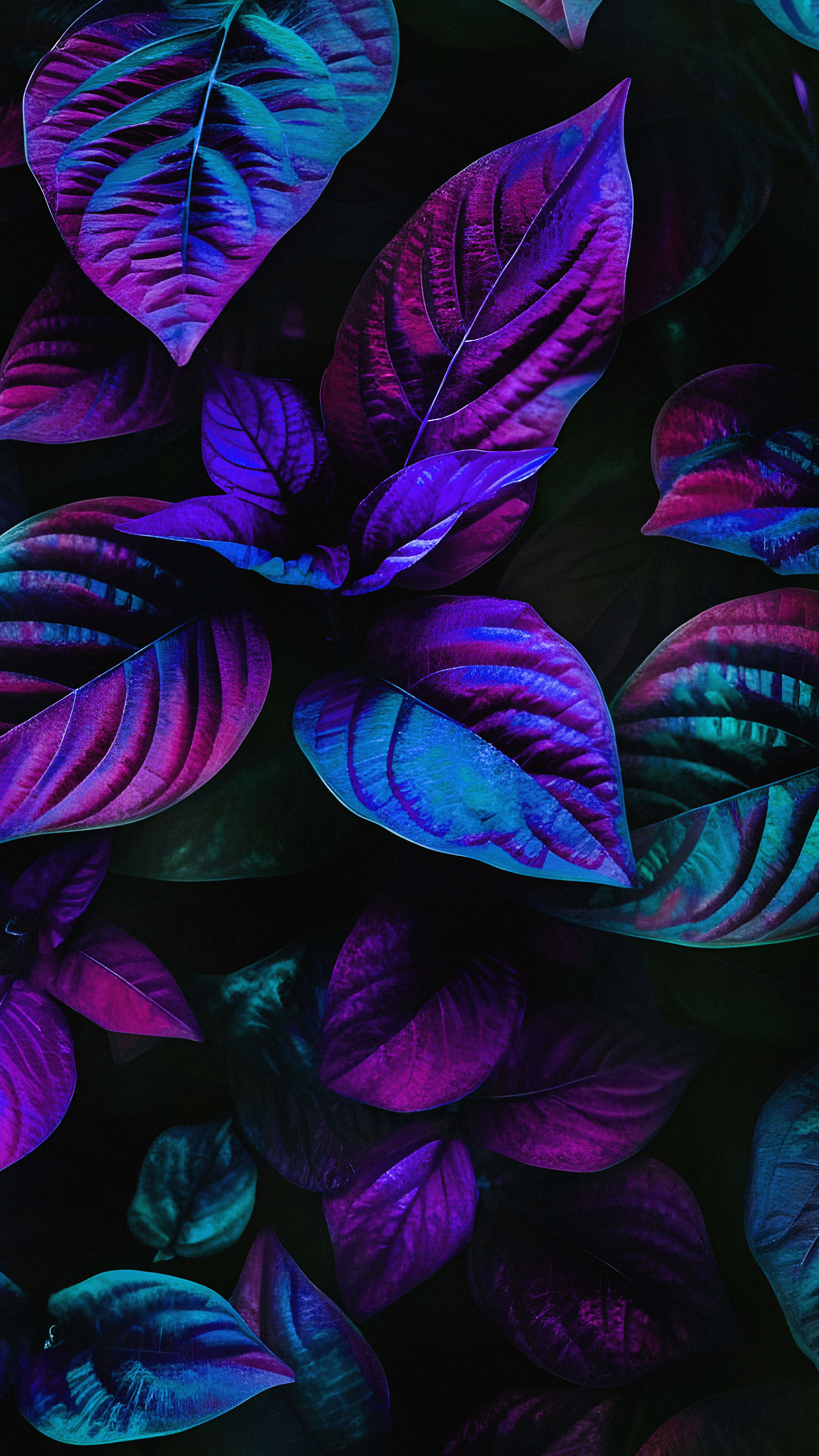 Electric Leaf Canopy - botanical wallpaper for OpersCraft