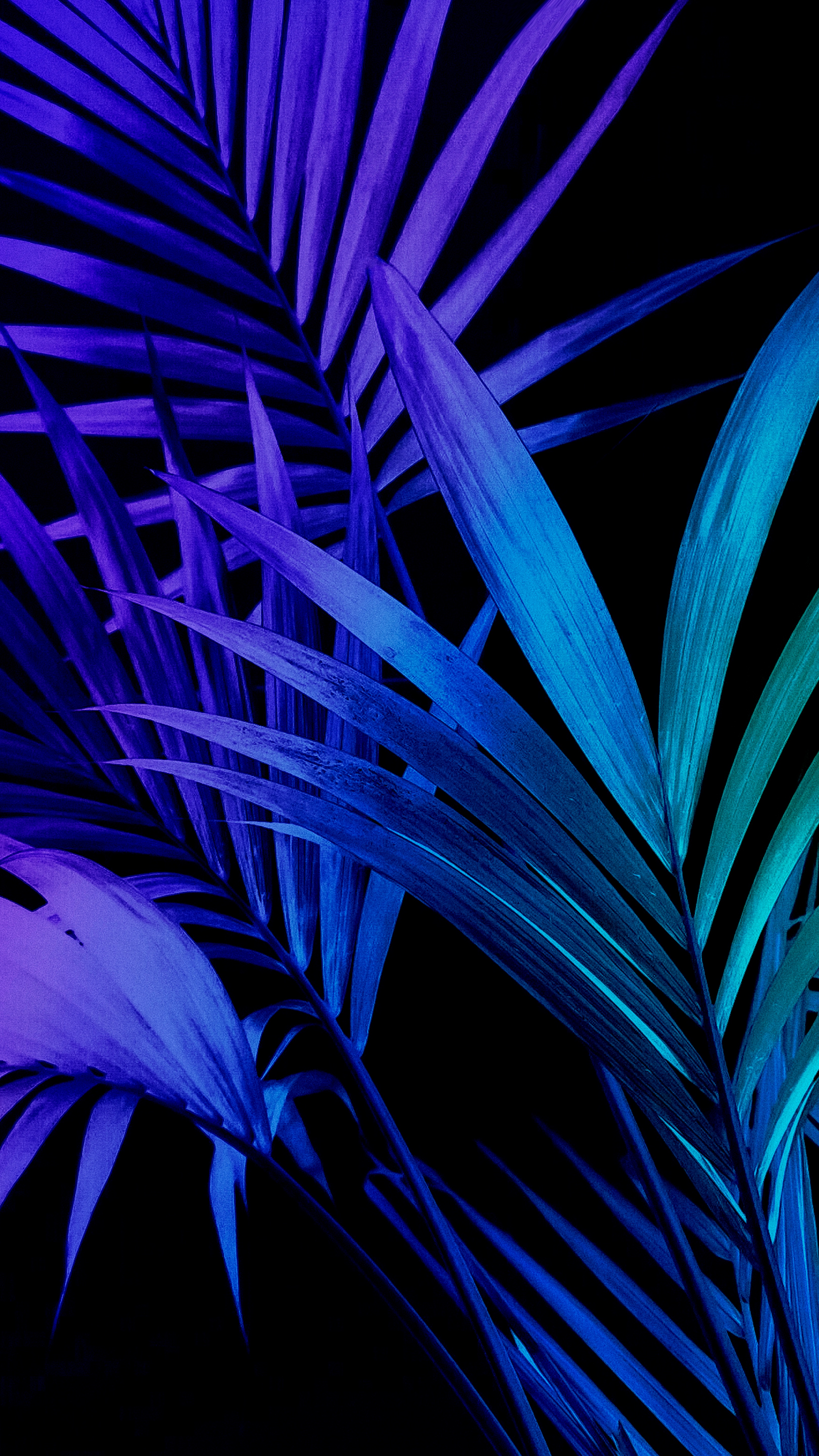 Electric Palm Leaves - tropical wallpaper for OpersCraft