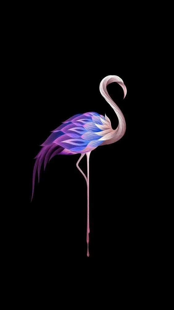 Elegant Flamingo Illustration - flamingo wallpaper for OpersCraft