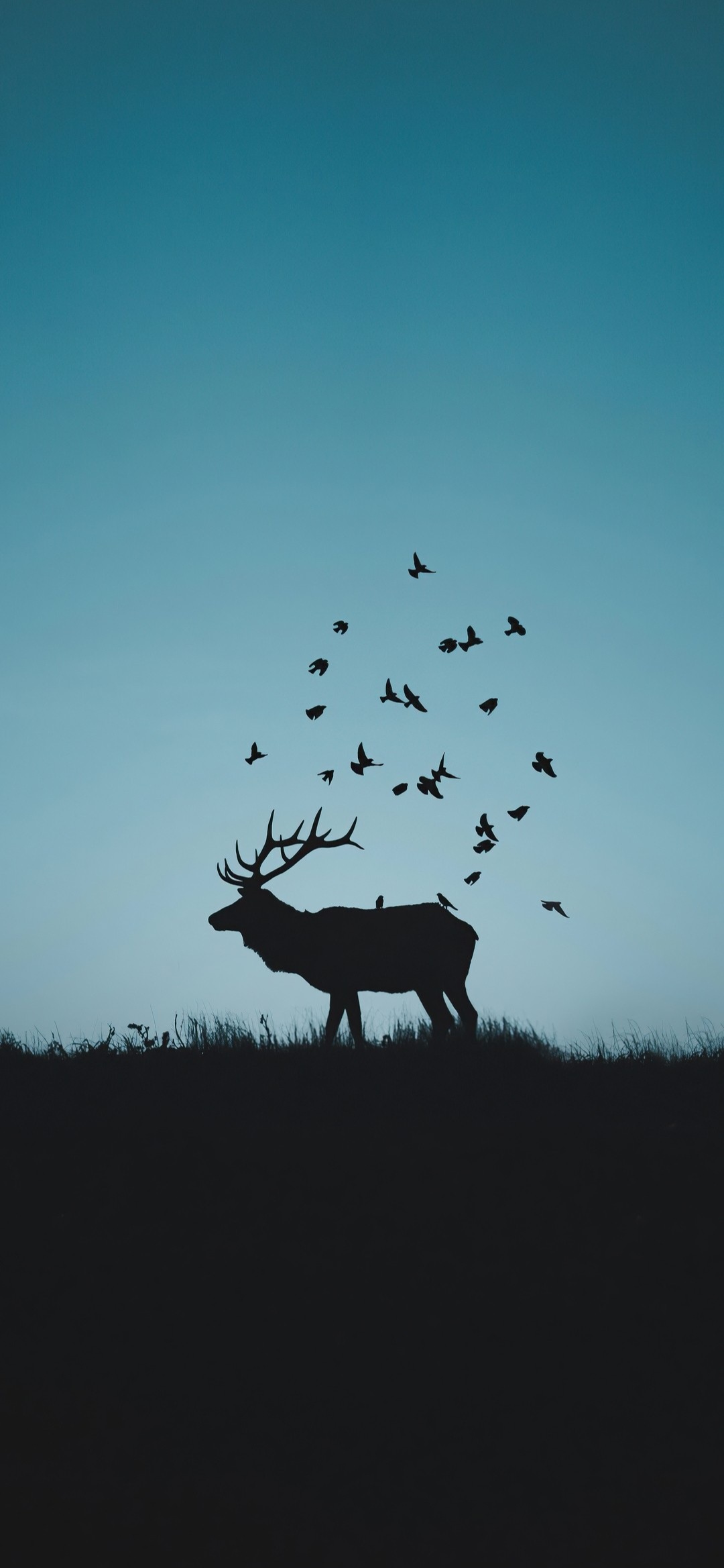 Elk Silhouette with Birds - random wallpaper for OpersCraft
