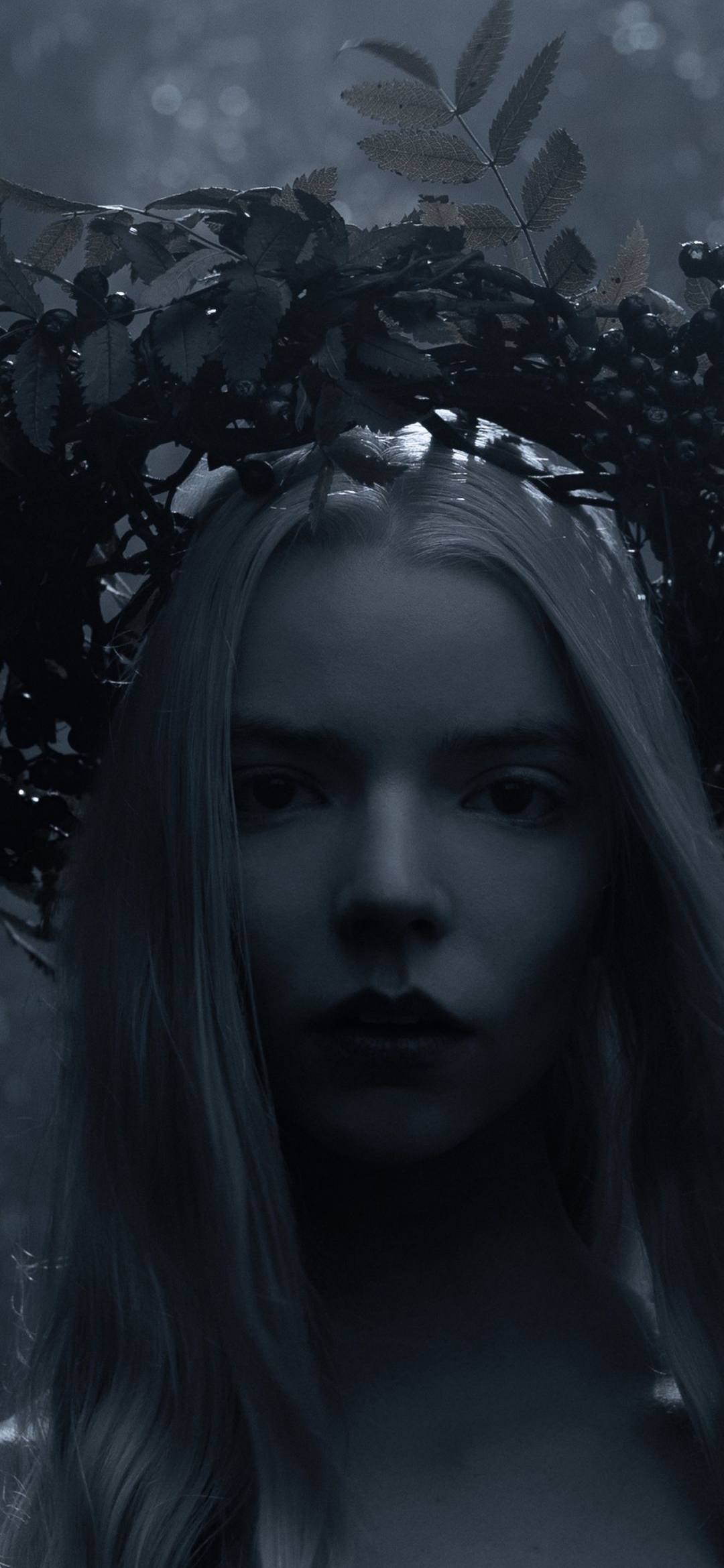 Ethereal Forest Portrait - random wallpaper for OpersCraft