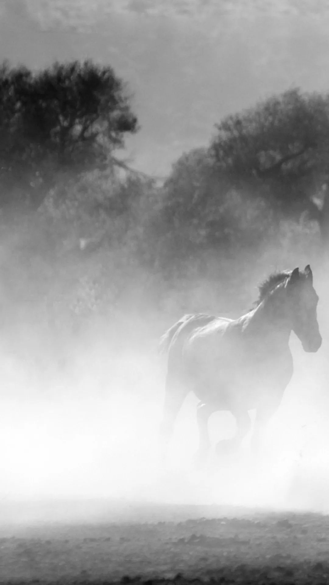 Ethereal Horse Gallop - horse wallpaper for OpersCraft