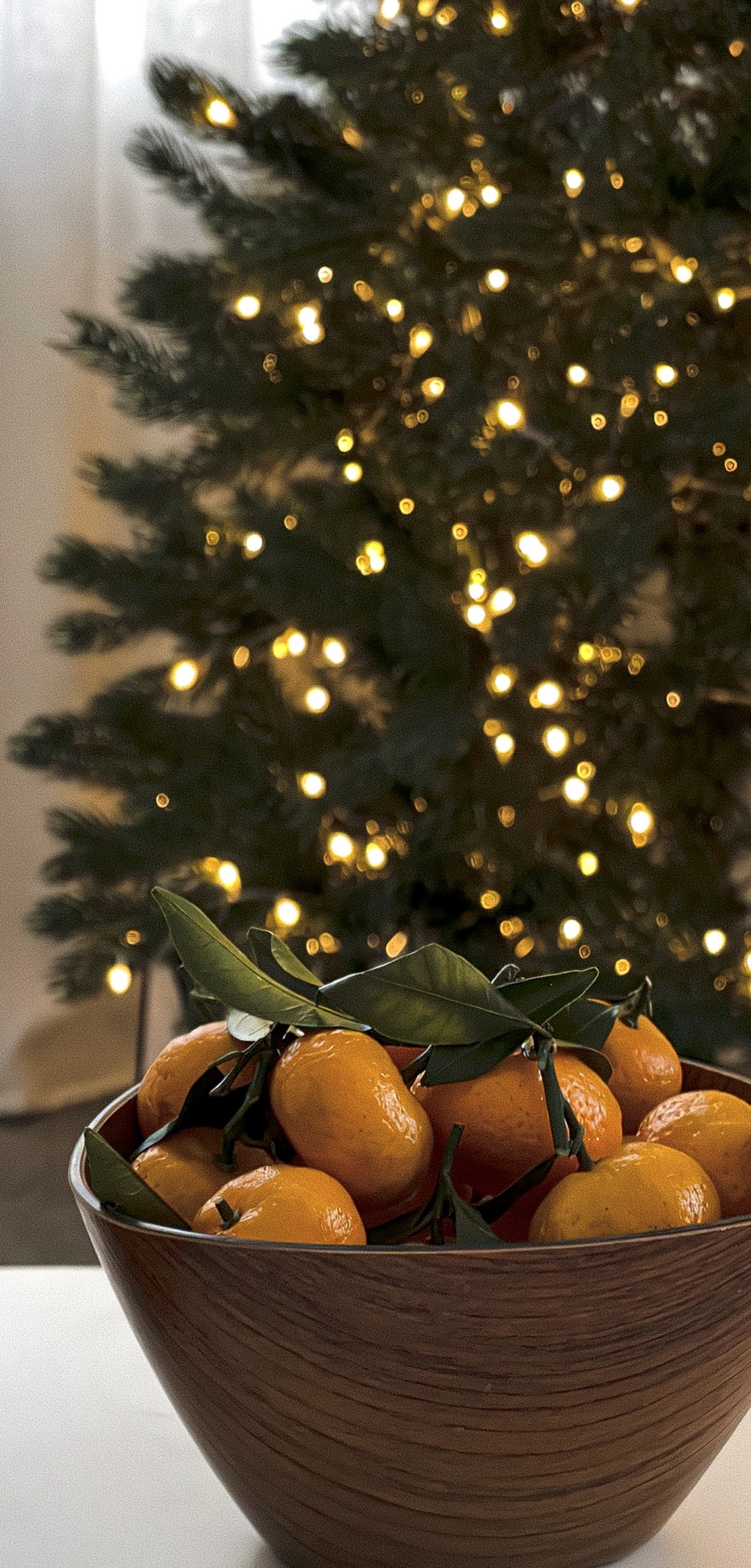 Festive Citrus Still Life - christmas wallpaper for OpersCraft