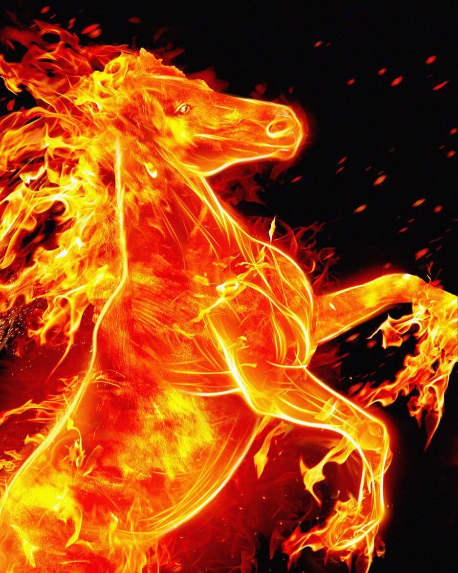 Fiery Horse Illustration - random wallpaper for OpersCraft