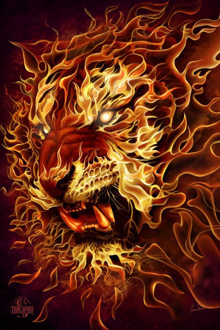 Fiery Tiger Portrait - lion wallpaper for OpersCraft