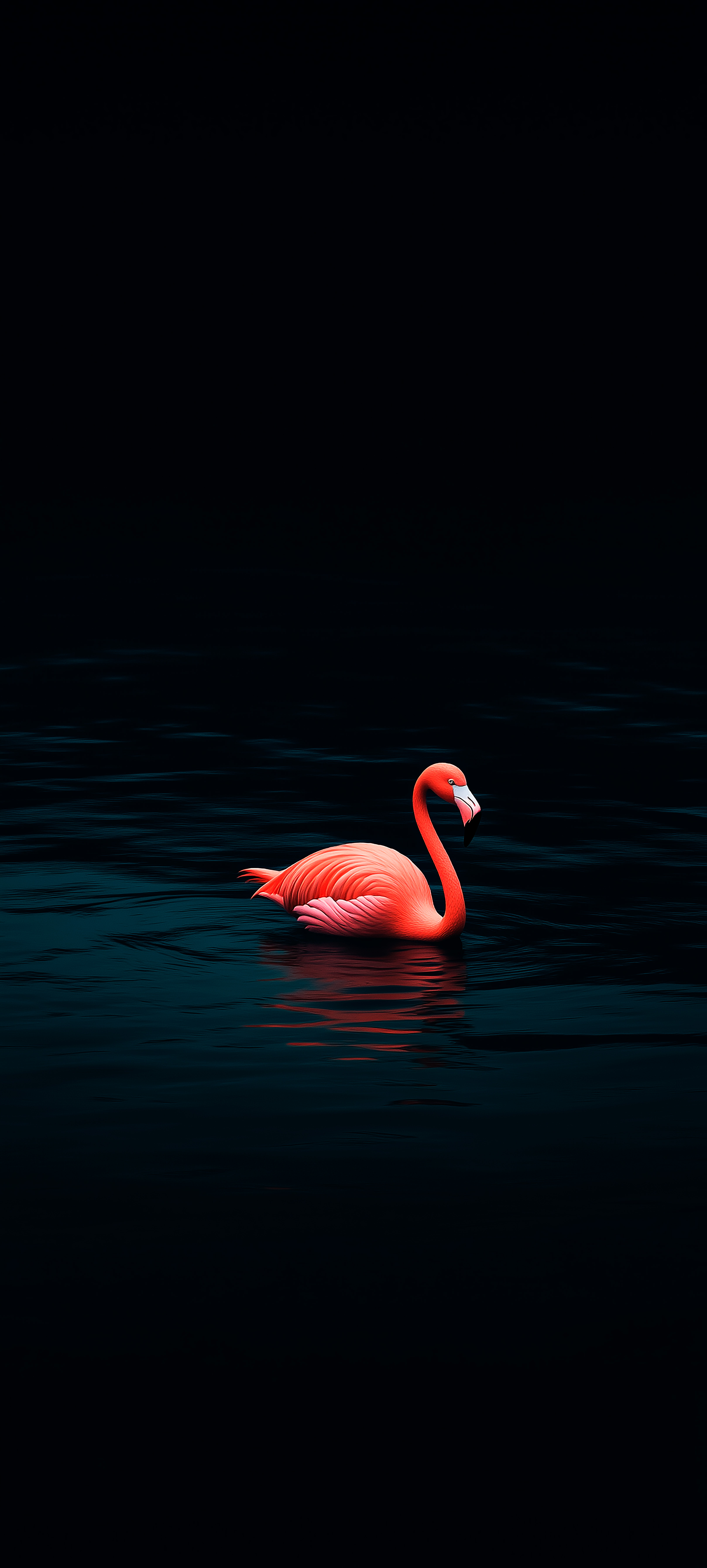 Flamingo in Dark Water - random wallpaper for OpersCraft