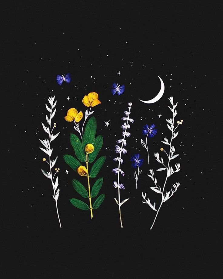 Floral Night Garden - floral wallpaper for OpersCraft