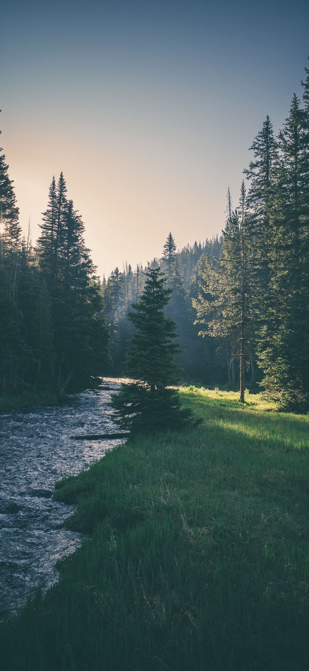 Forest River Sunrise - landscape wallpaper for OpersCraft