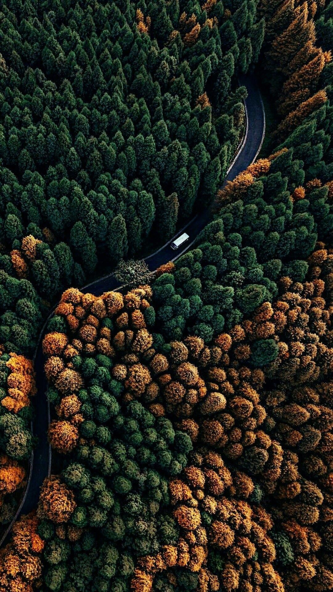 Forest Road Aerial View - forest wallpaper for OpersCraft