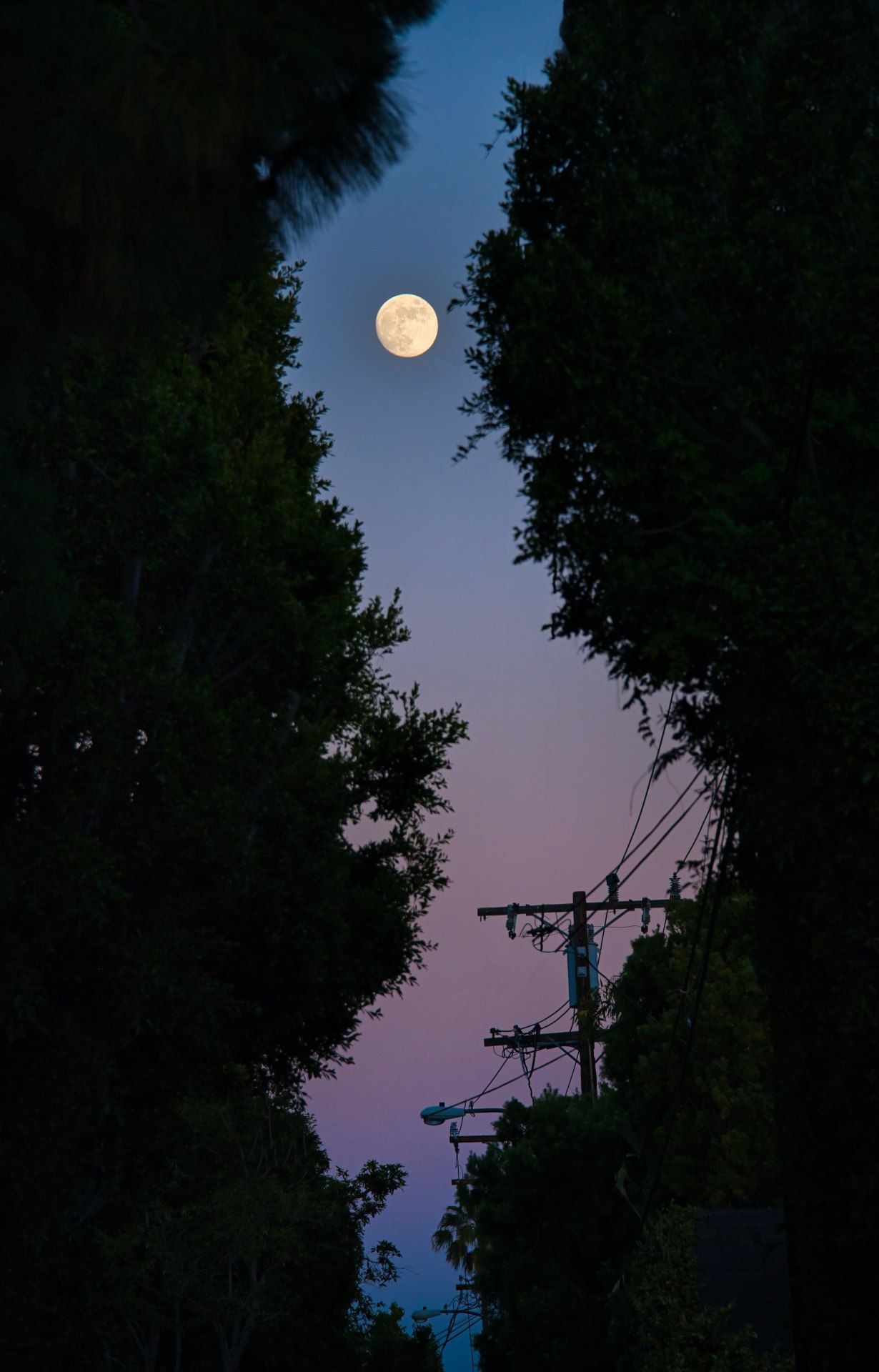 Full Moon Silhouette - night wallpaper for OpersCraft