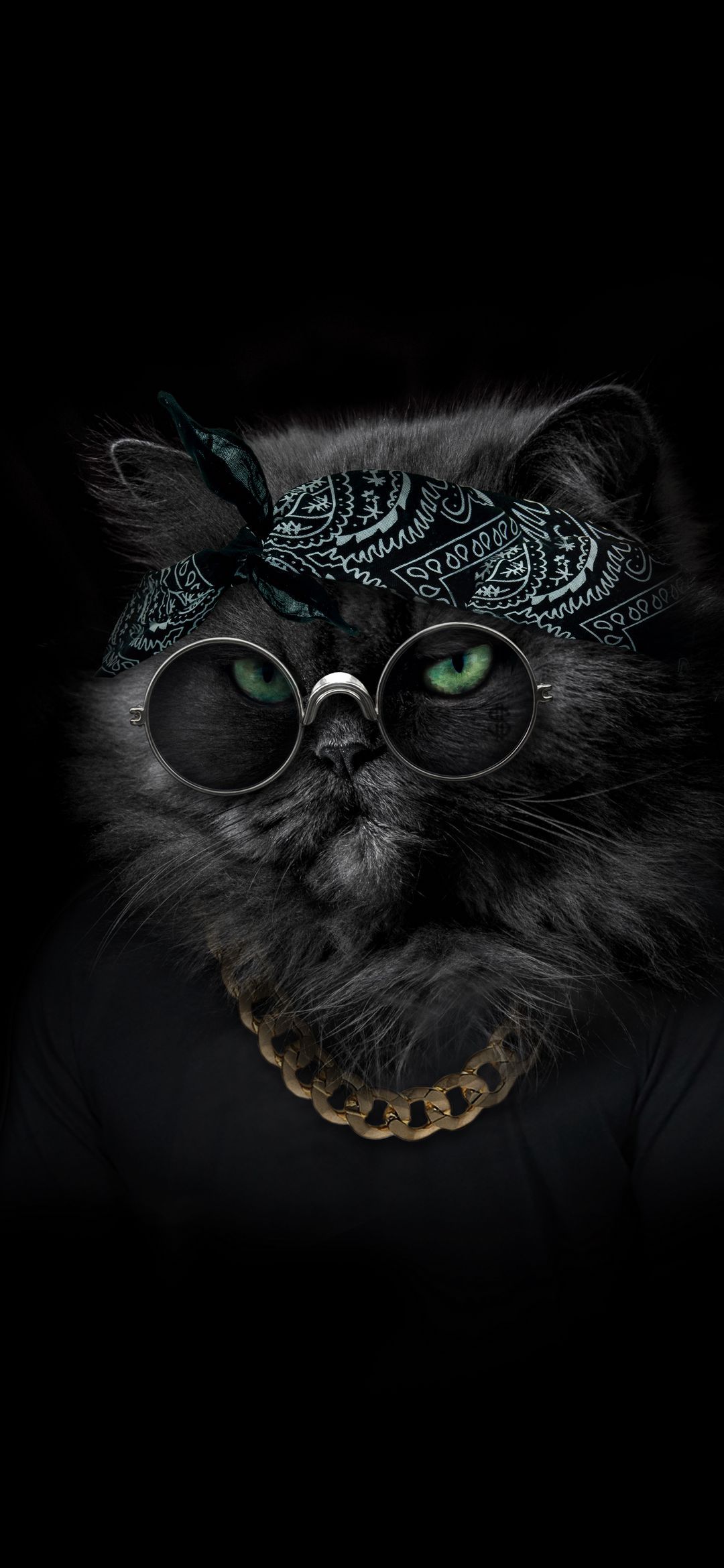Gangster Cat Portrait - cat wallpaper for OpersCraft