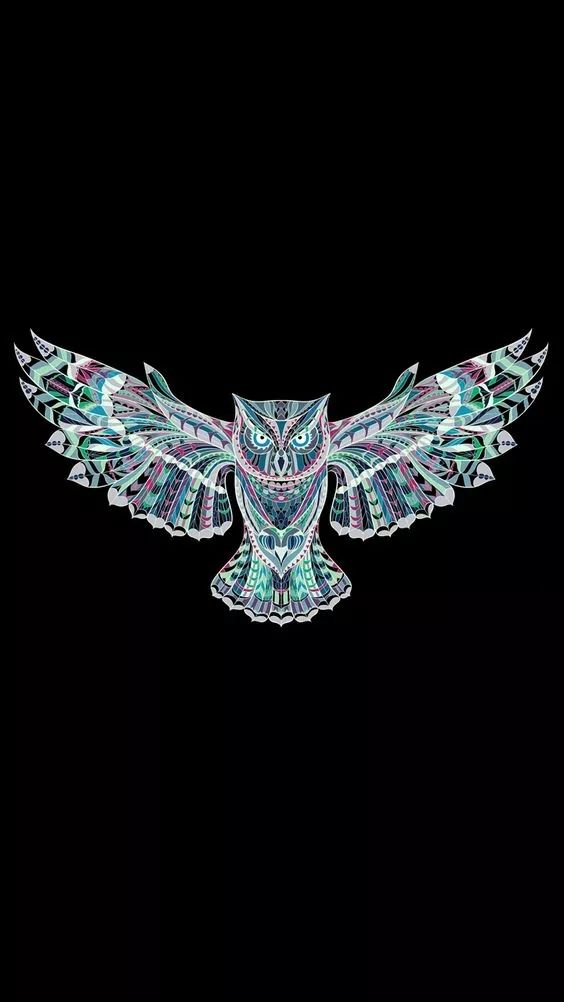 Geometric Owl Illustration - random wallpaper for OpersCraft