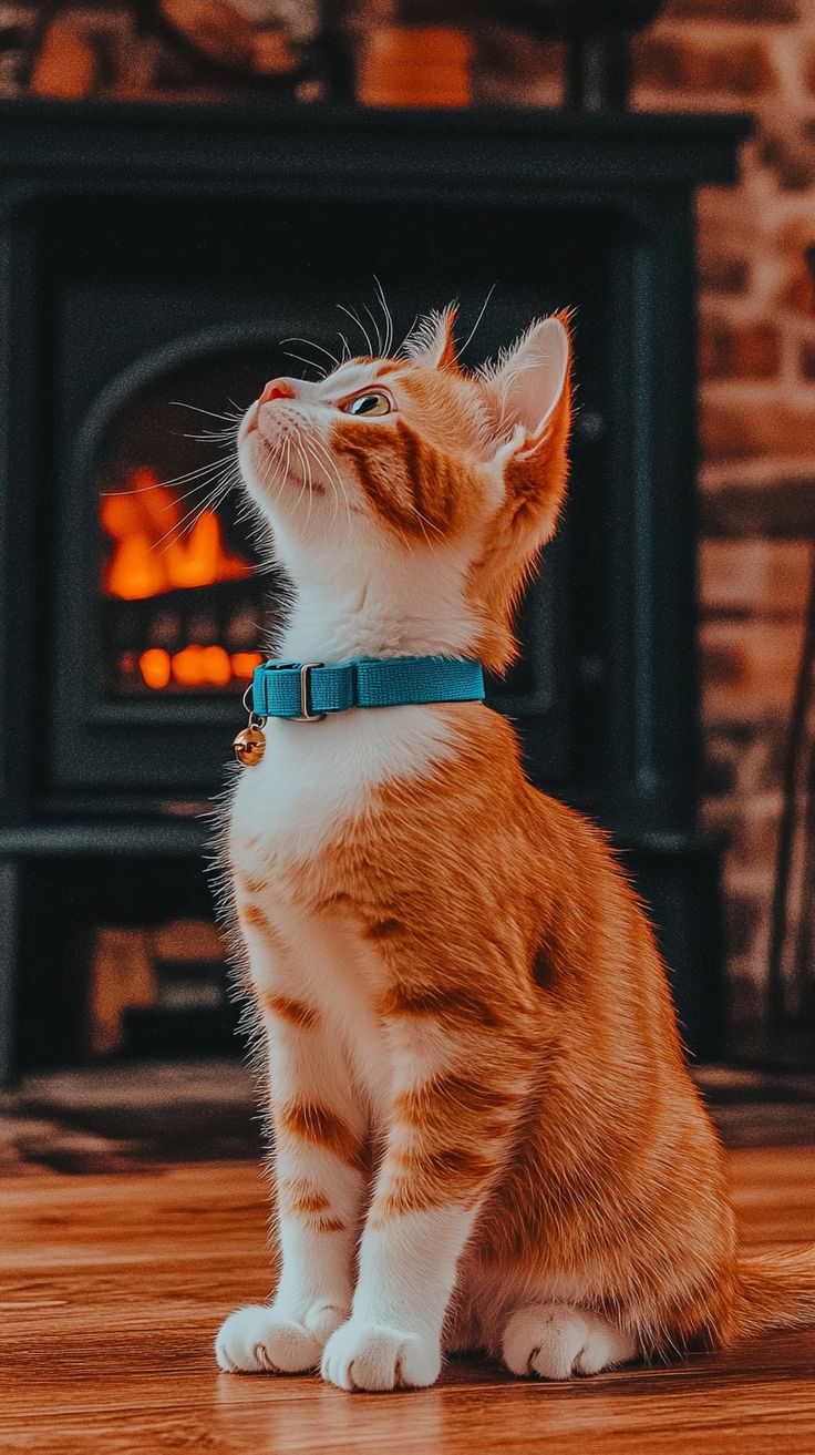Ginger Kitten by Fire - cat wallpaper for OpersCraft