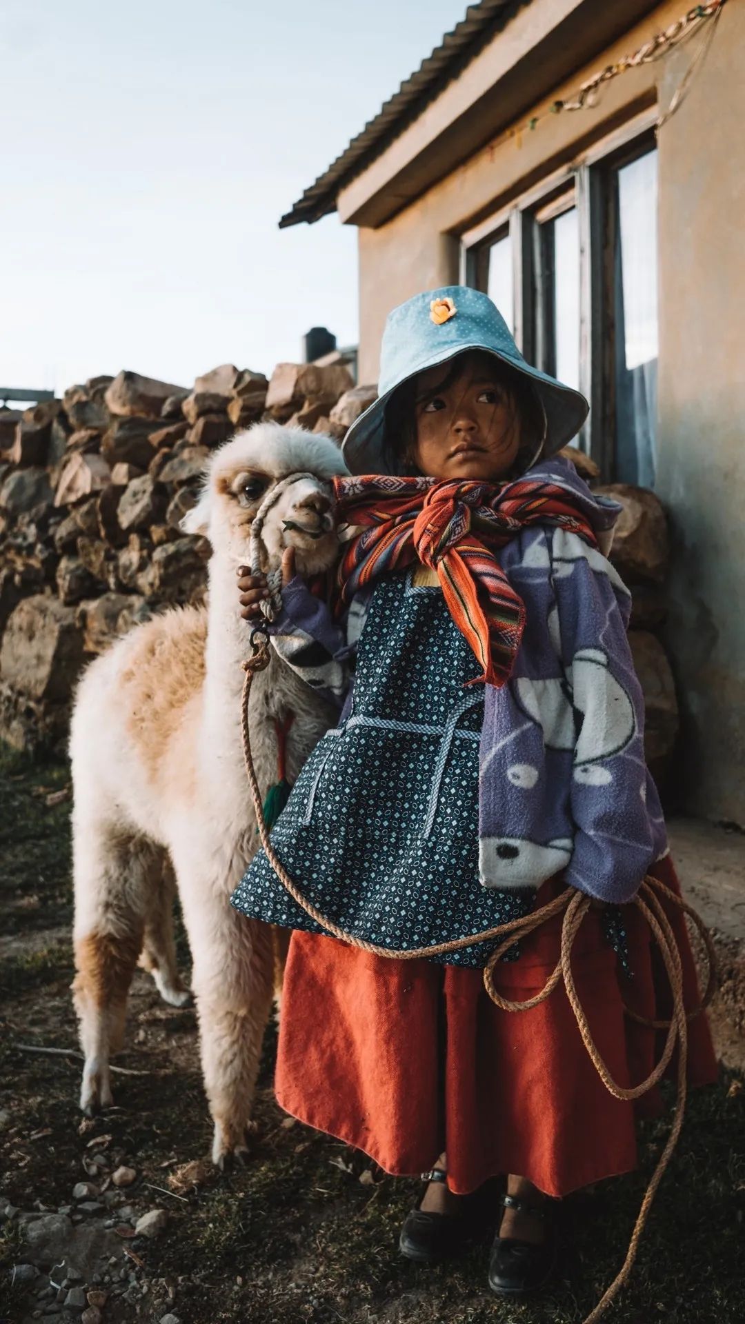 Girl and Alpaca Portrait - girl wallpaper for OpersCraft