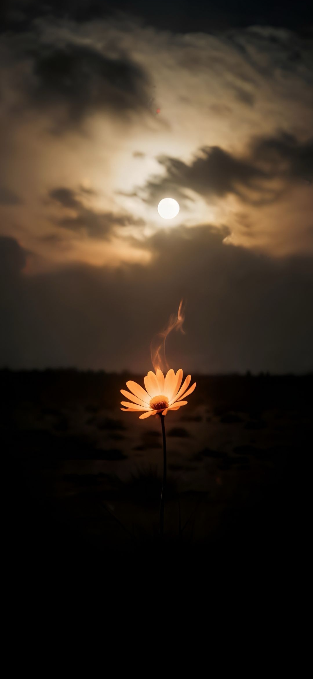 Glowing Flower Sunset - flowers wallpaper for OpersCraft