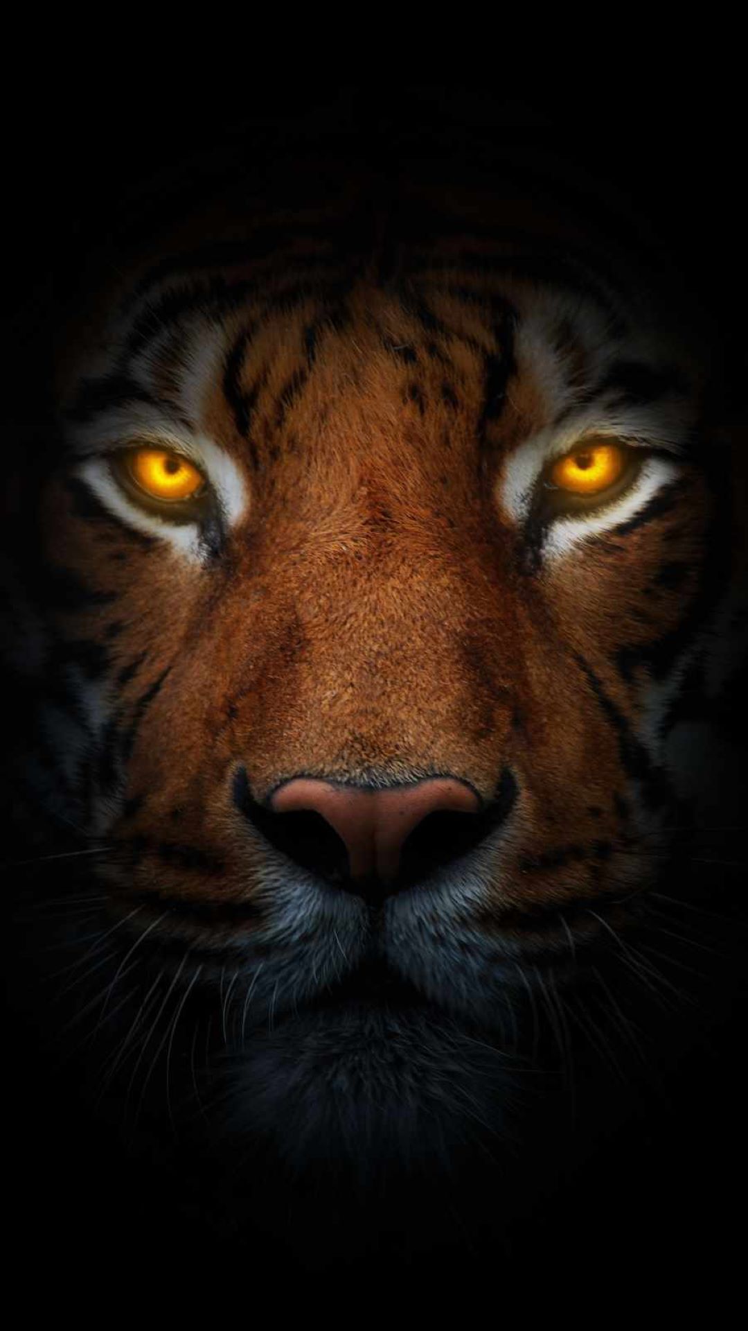 Glowing Tiger Eyes - random wallpaper for OpersCraft