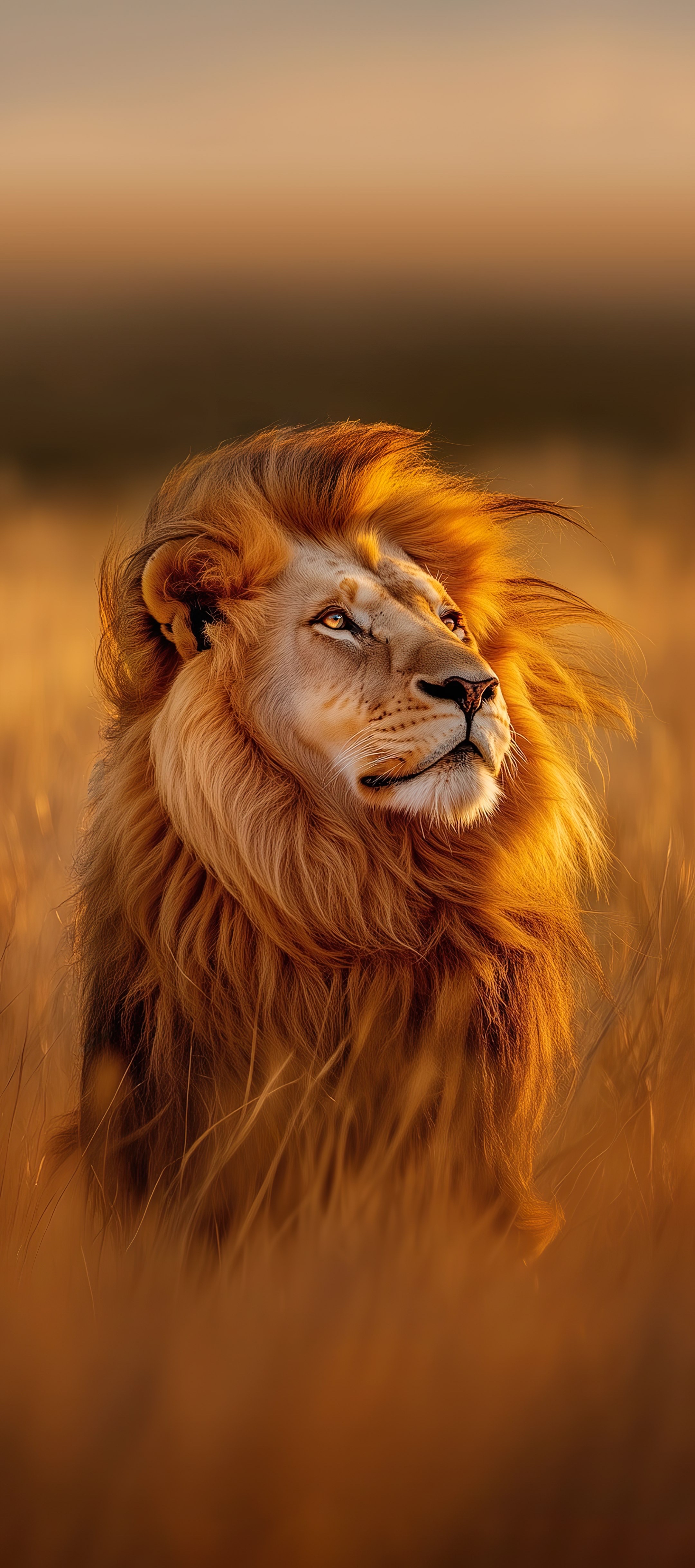 Golden Lion Portrait - lion wallpaper for OpersCraft