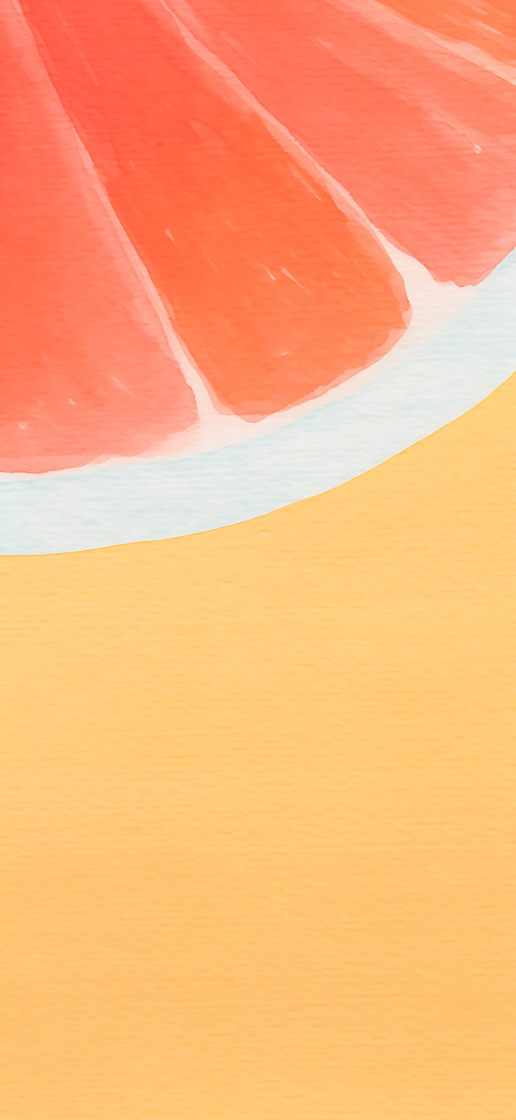 Grapefruit Slice Art - fruit wallpaper for OpersCraft